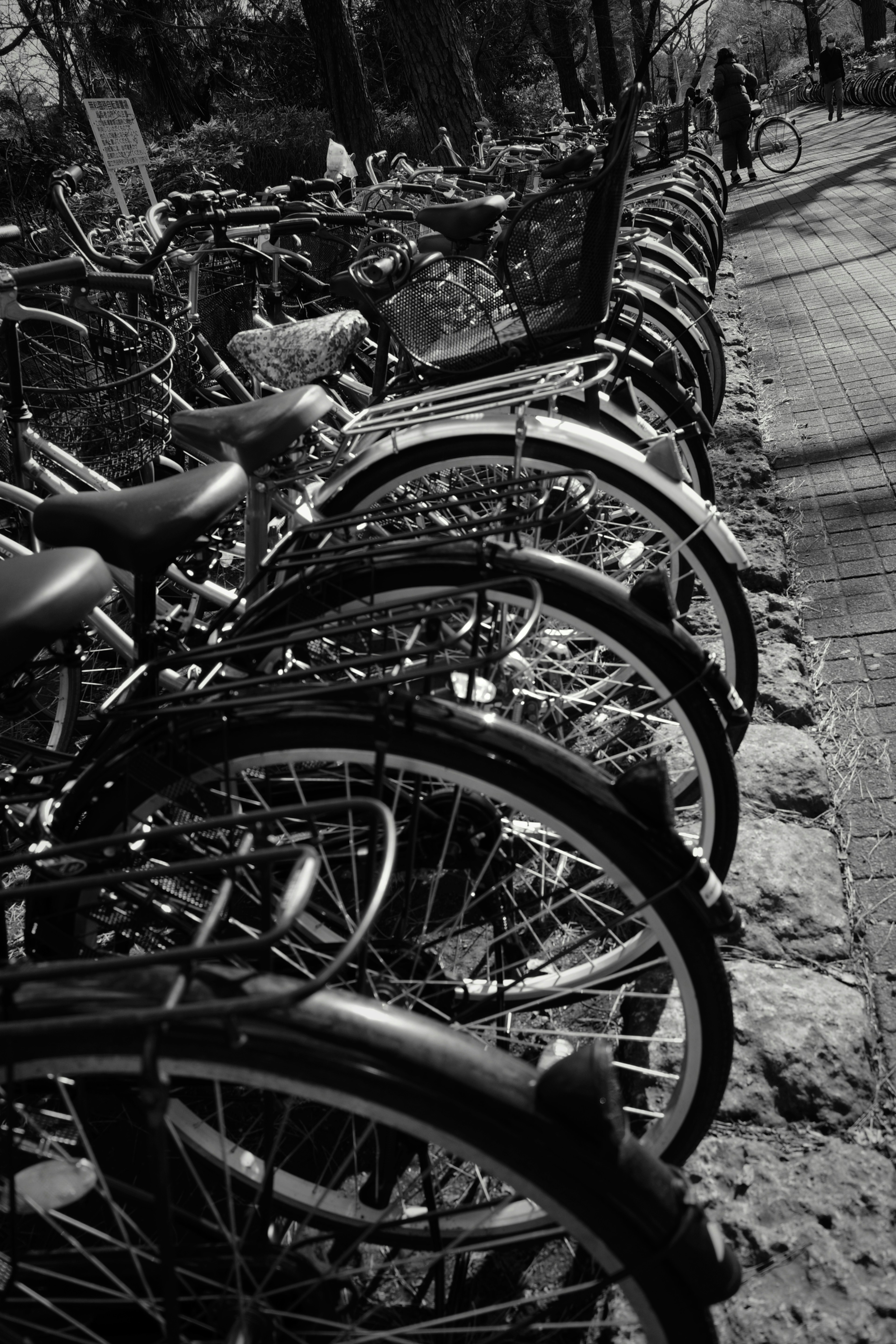 Una fila de ruedas de bicicleta en un entorno en blanco y negro