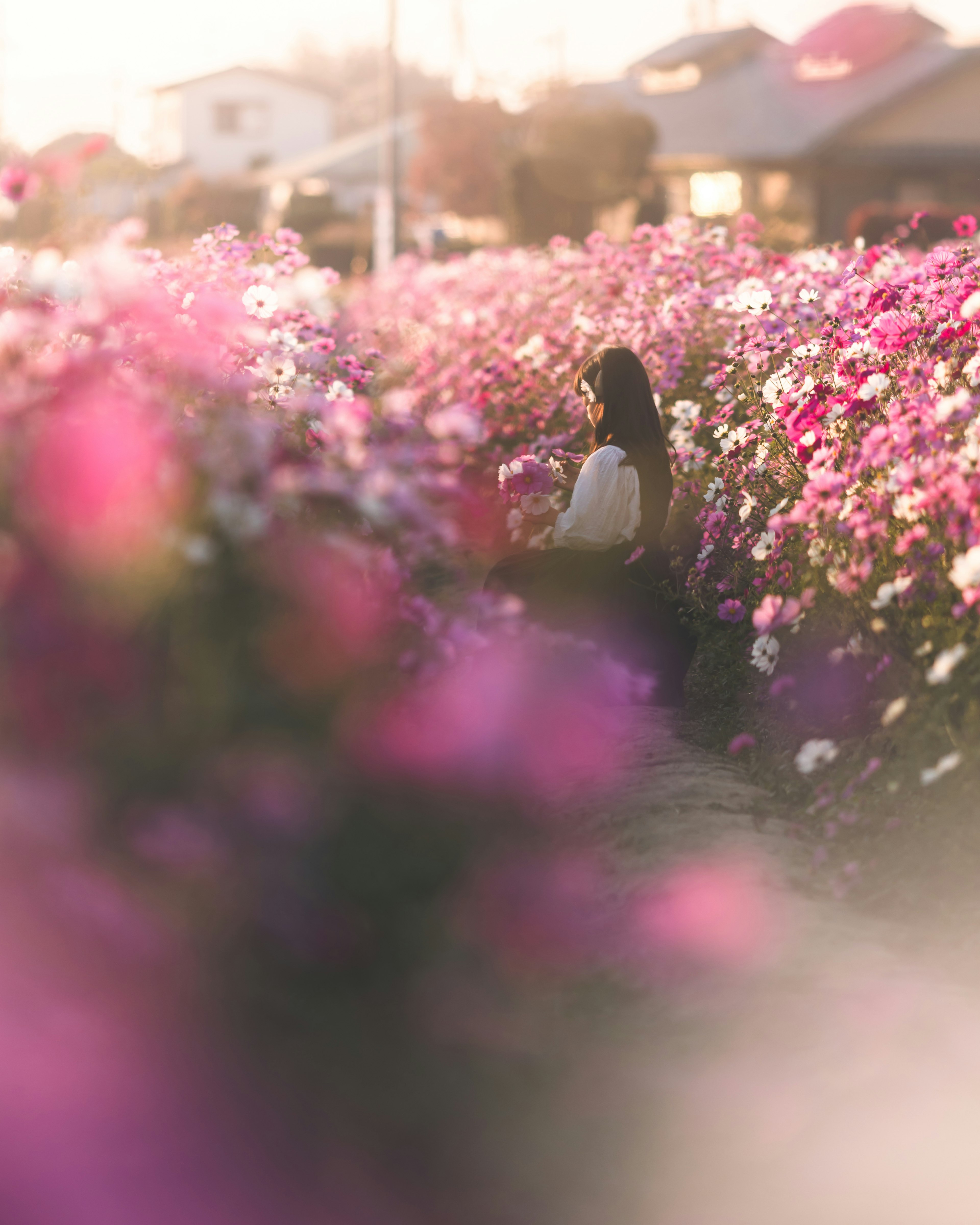 色とりどりの花に囲まれた女性の後ろ姿と柔らかな光