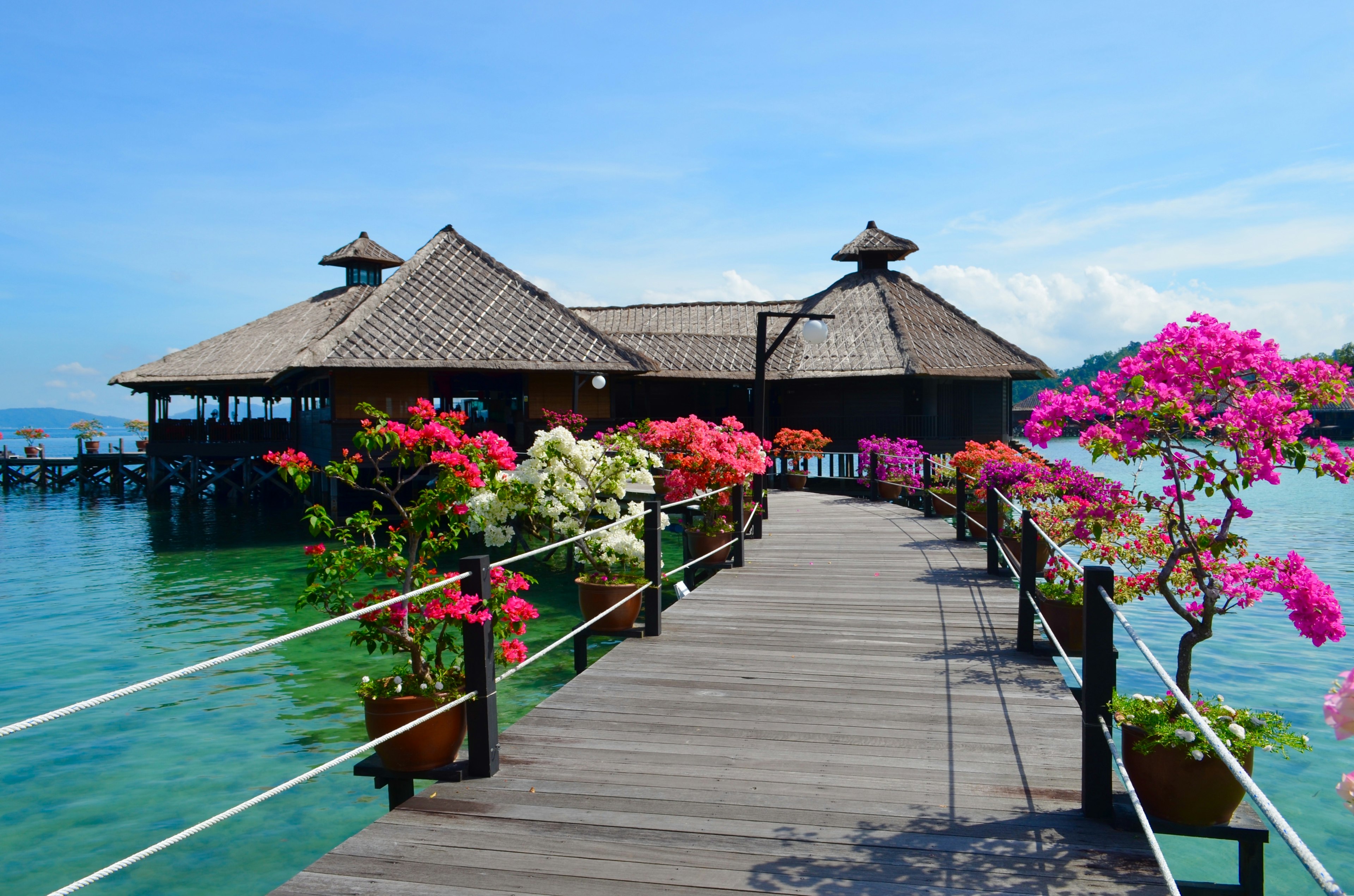 Vista escénica junto al mar con flores de bugambilia coloridas a lo largo de un muelle de madera