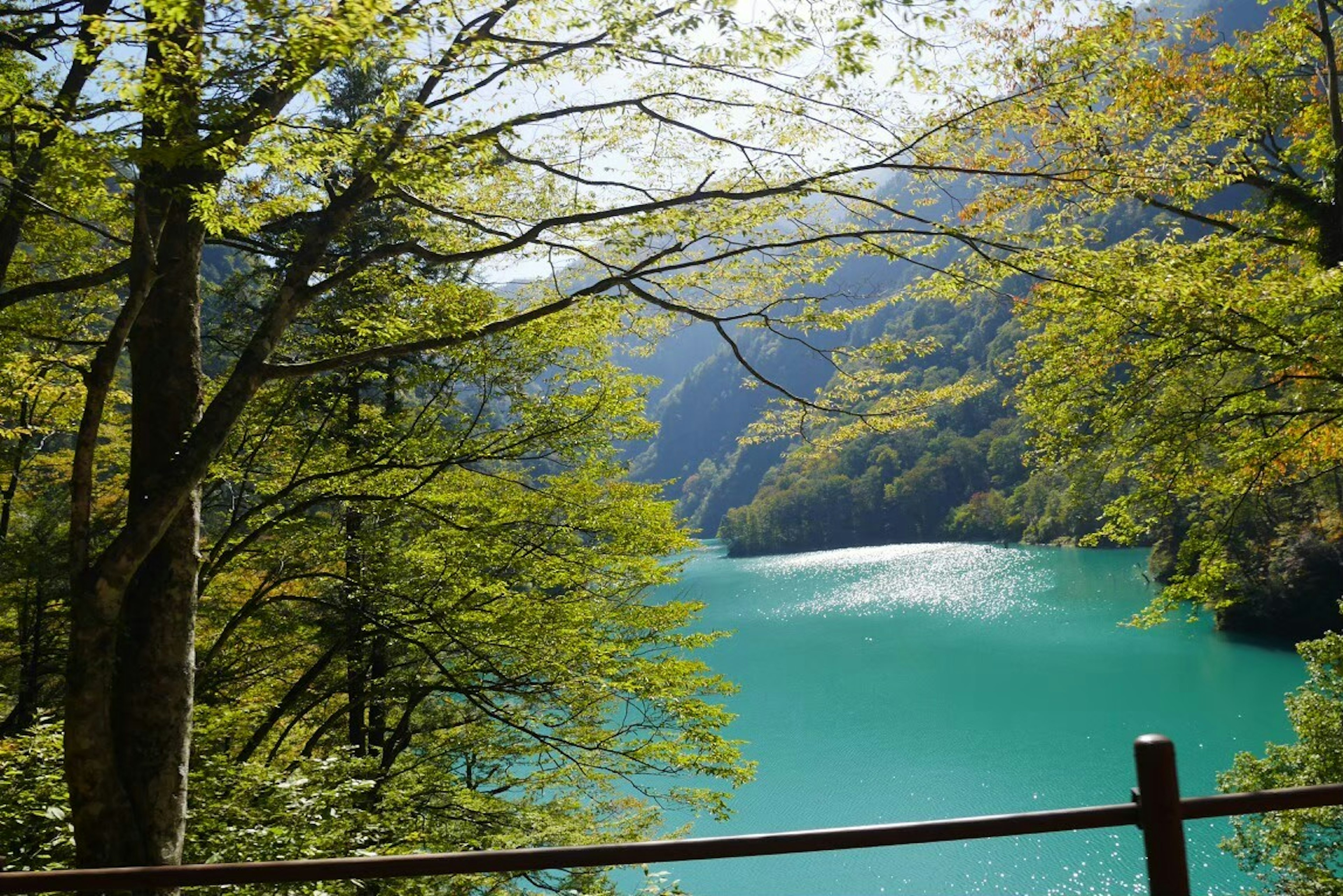 Vista escénica de un lago turquesa rodeado de árboles verdes