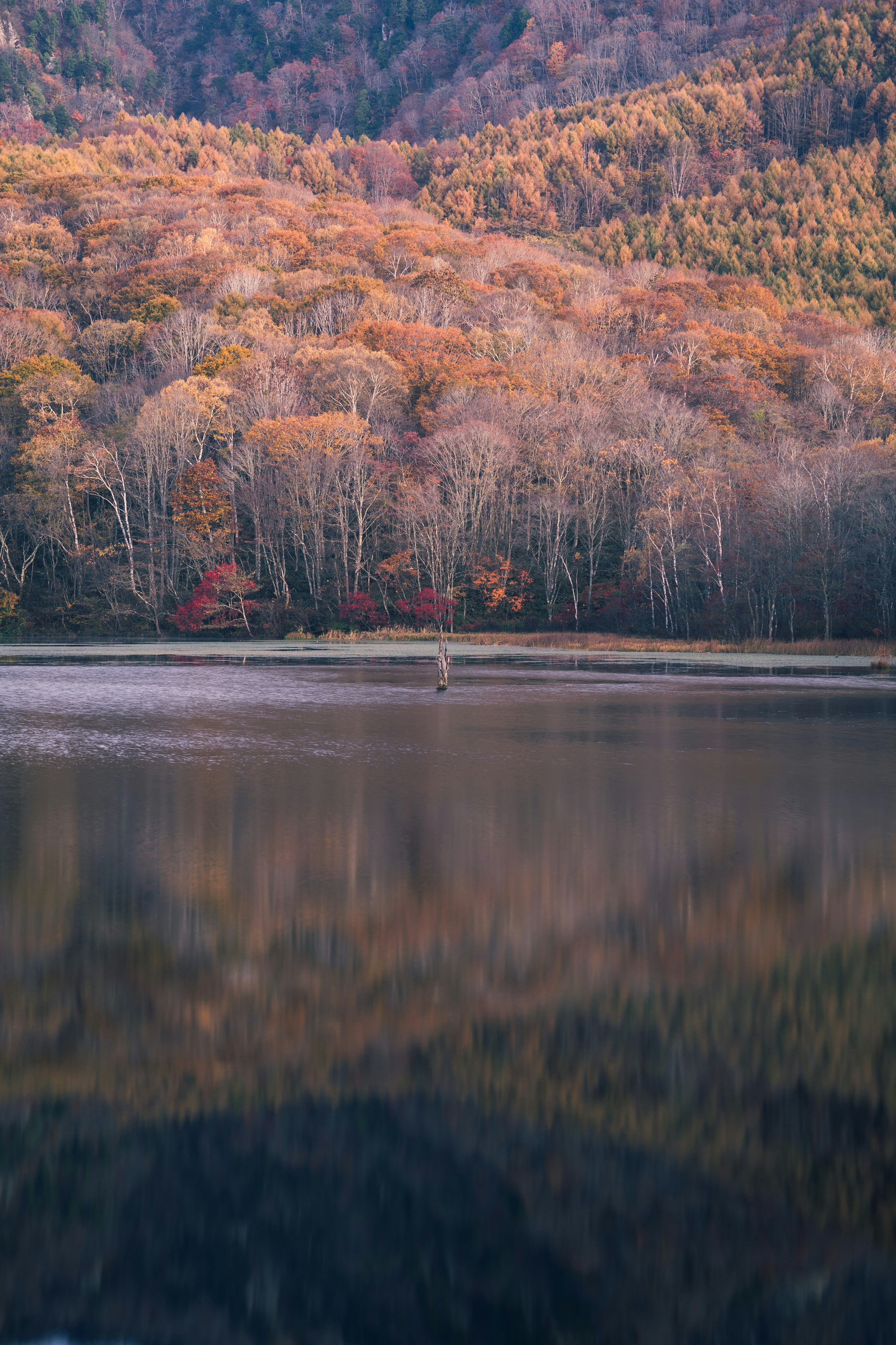 Lago escénico reflejando el follaje de otoño con montañas al fondo