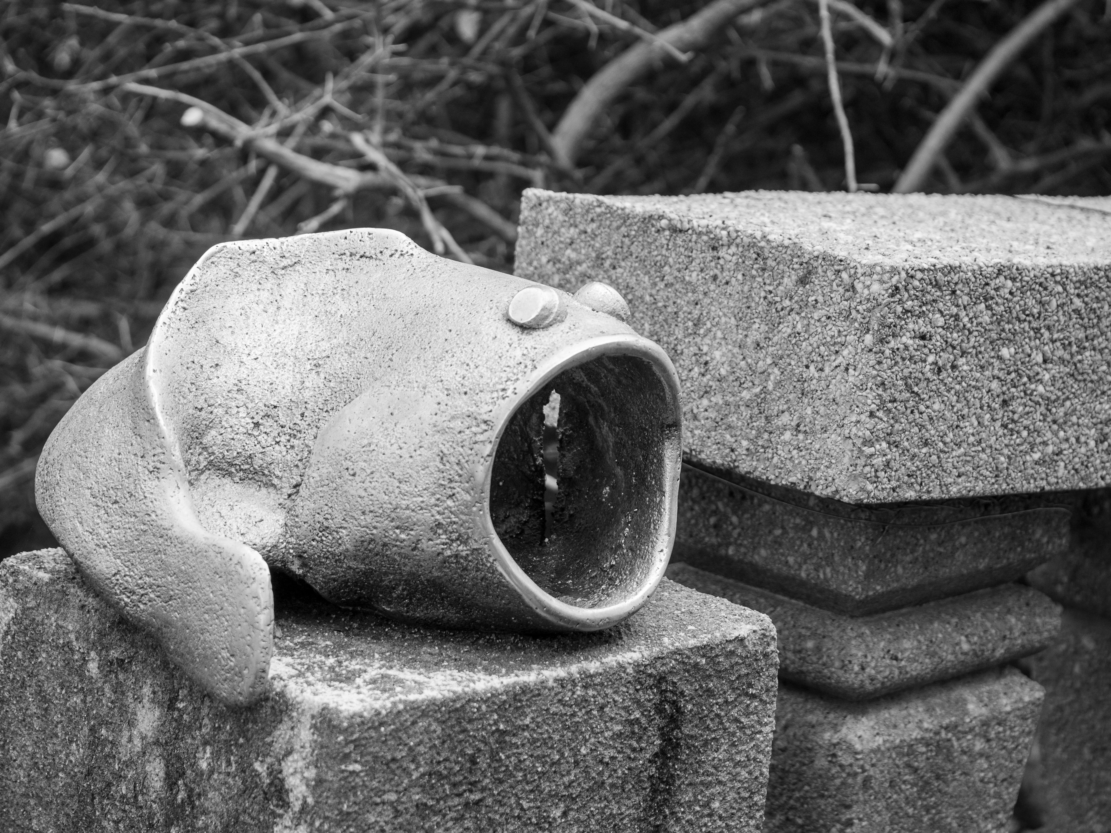 Escultura de pez en blanco y negro descansando sobre bloques de concreto