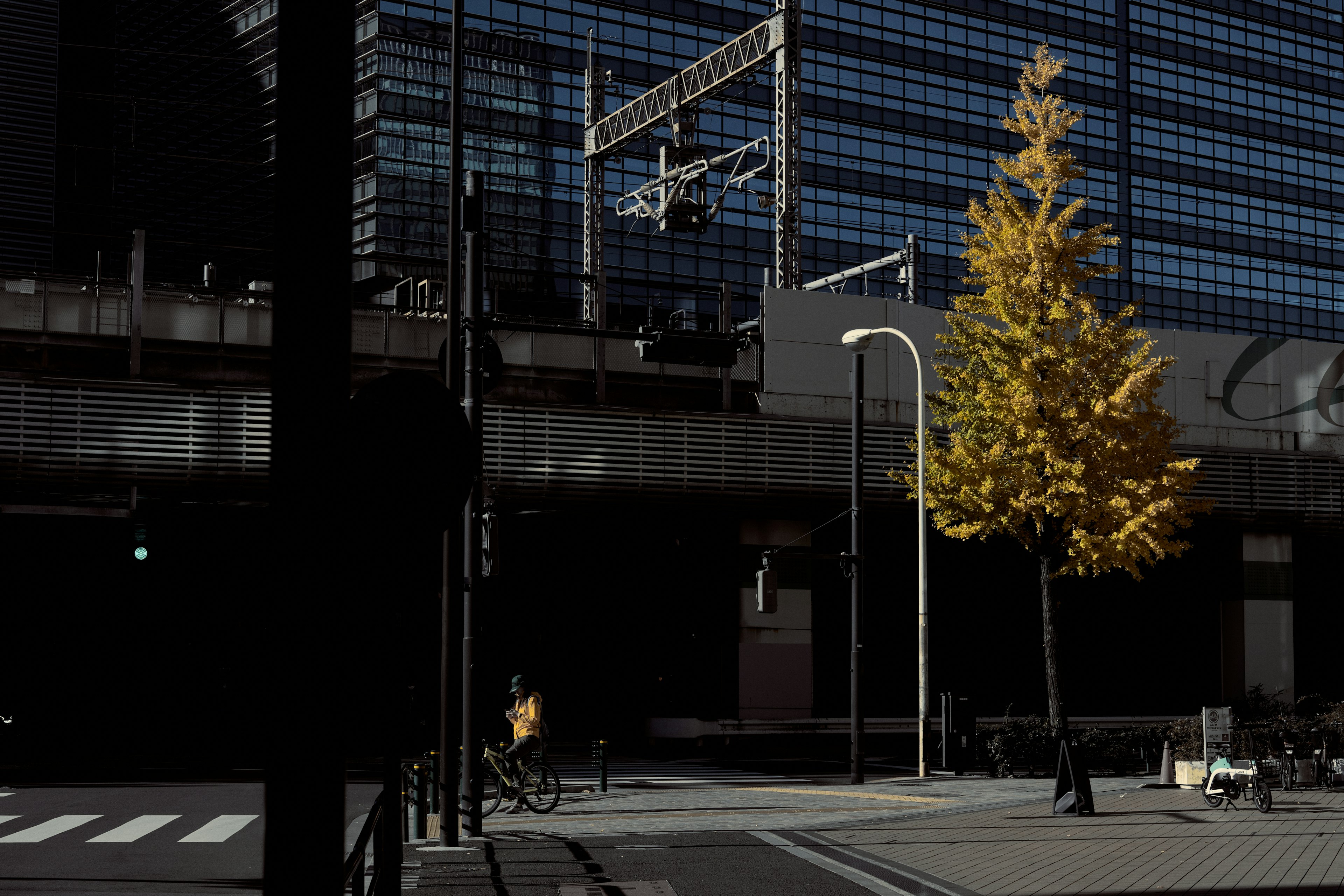 Scena urbana con un albero giallo e architettura moderna