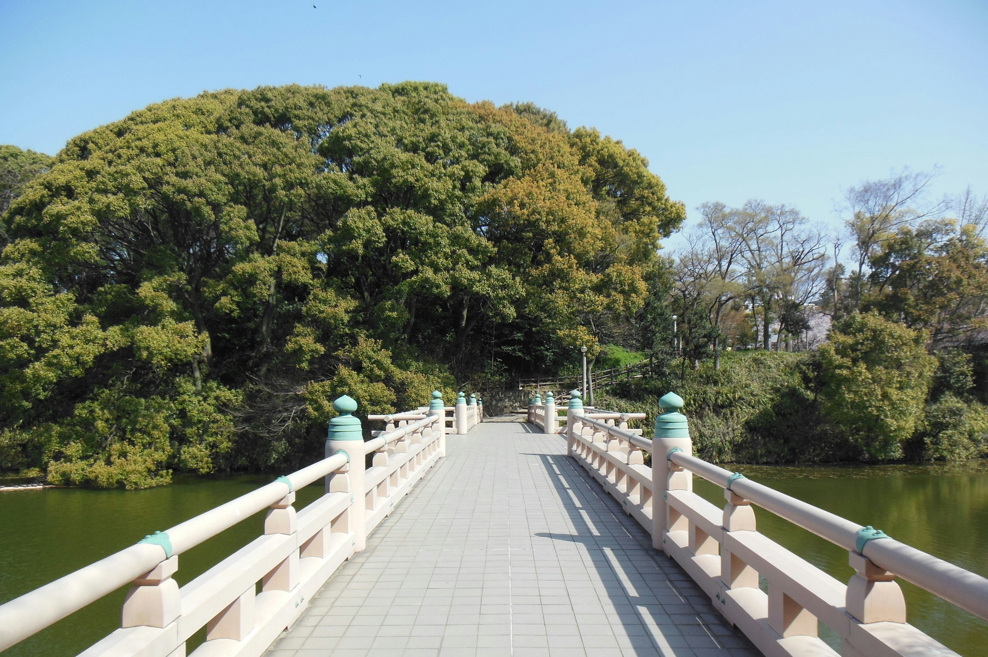 緑豊かな木々に囲まれた橋の景色