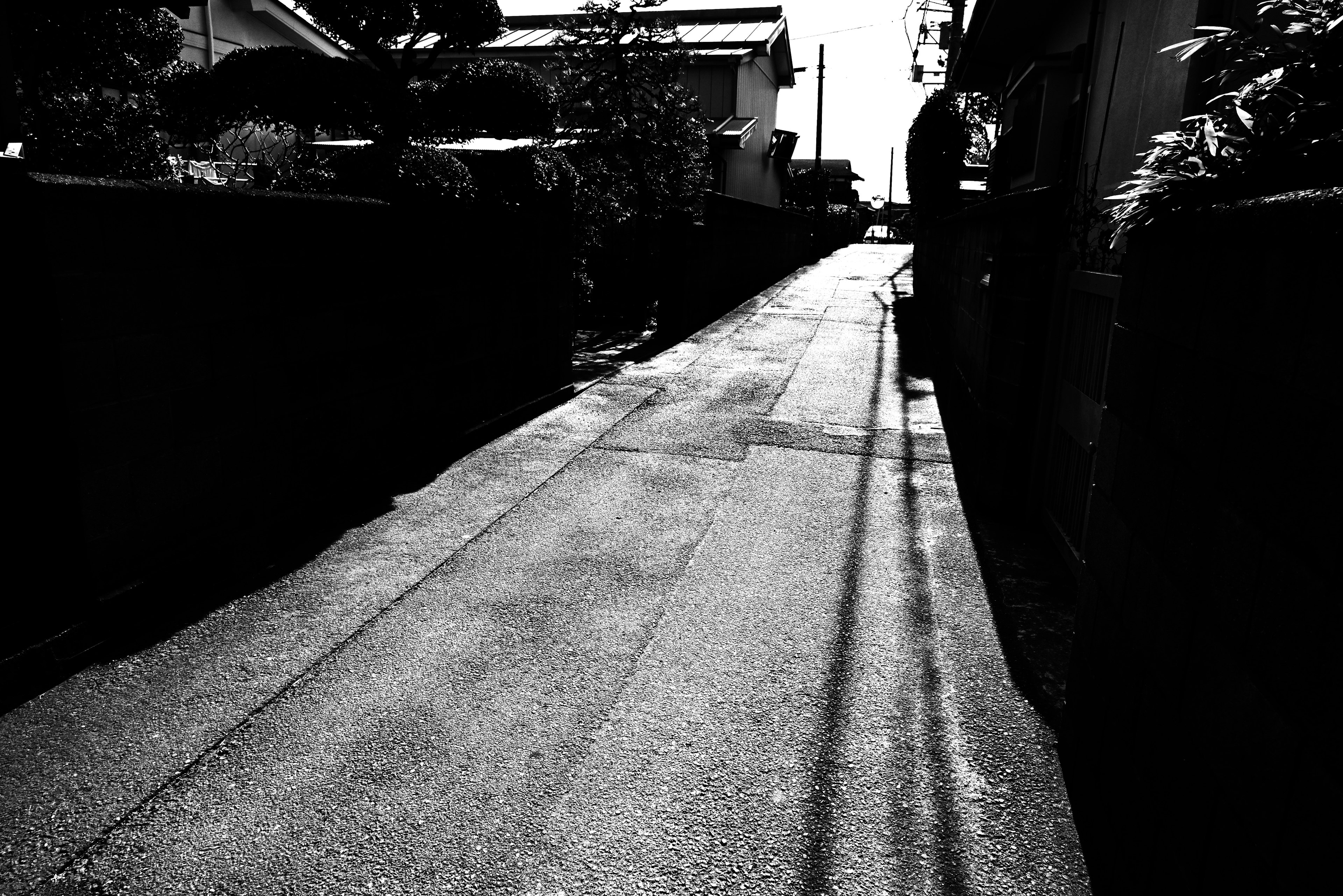 Un callejón residencial tranquilo capturado en blanco y negro