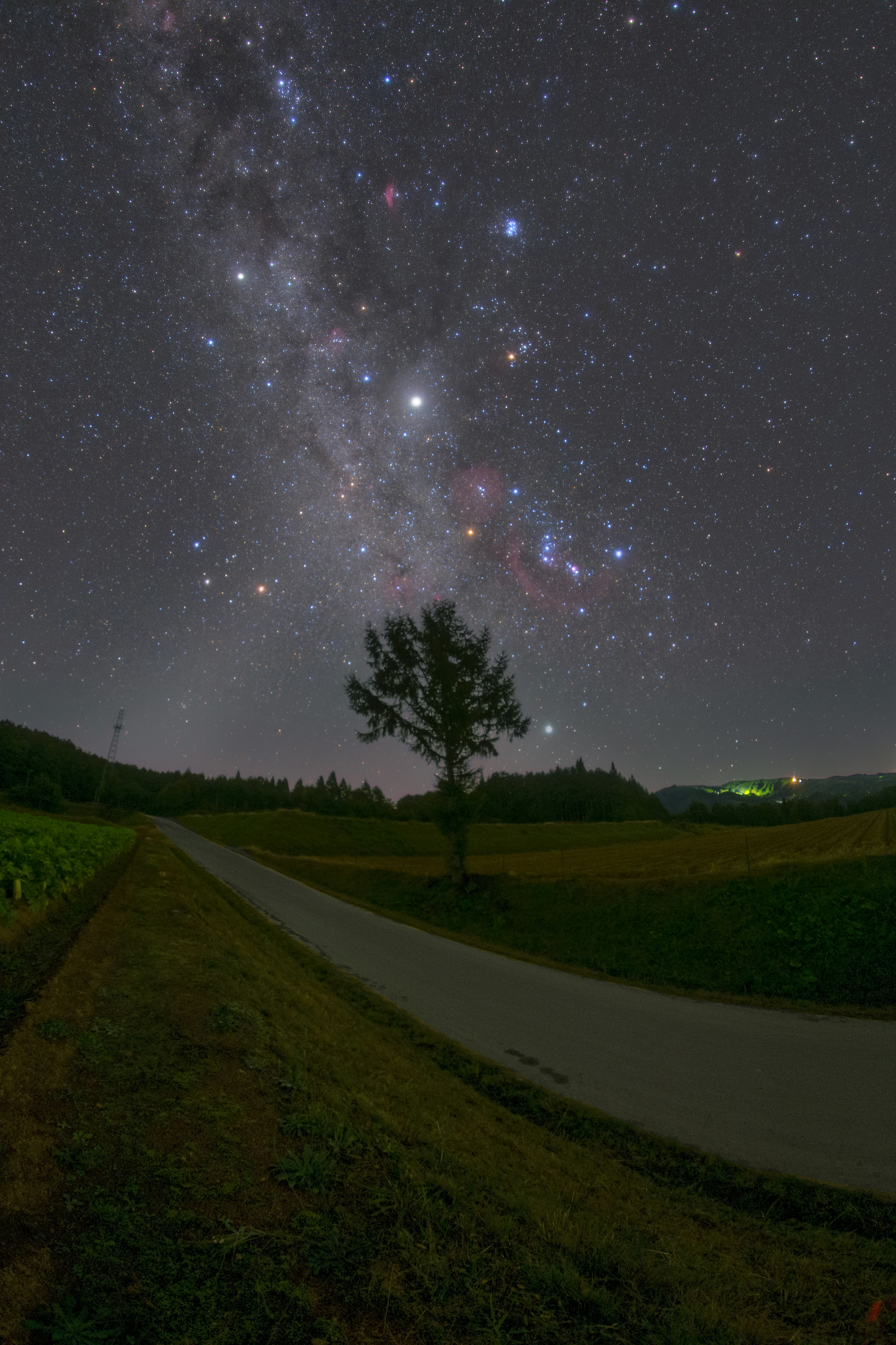 星空の下の孤独な木と道の風景