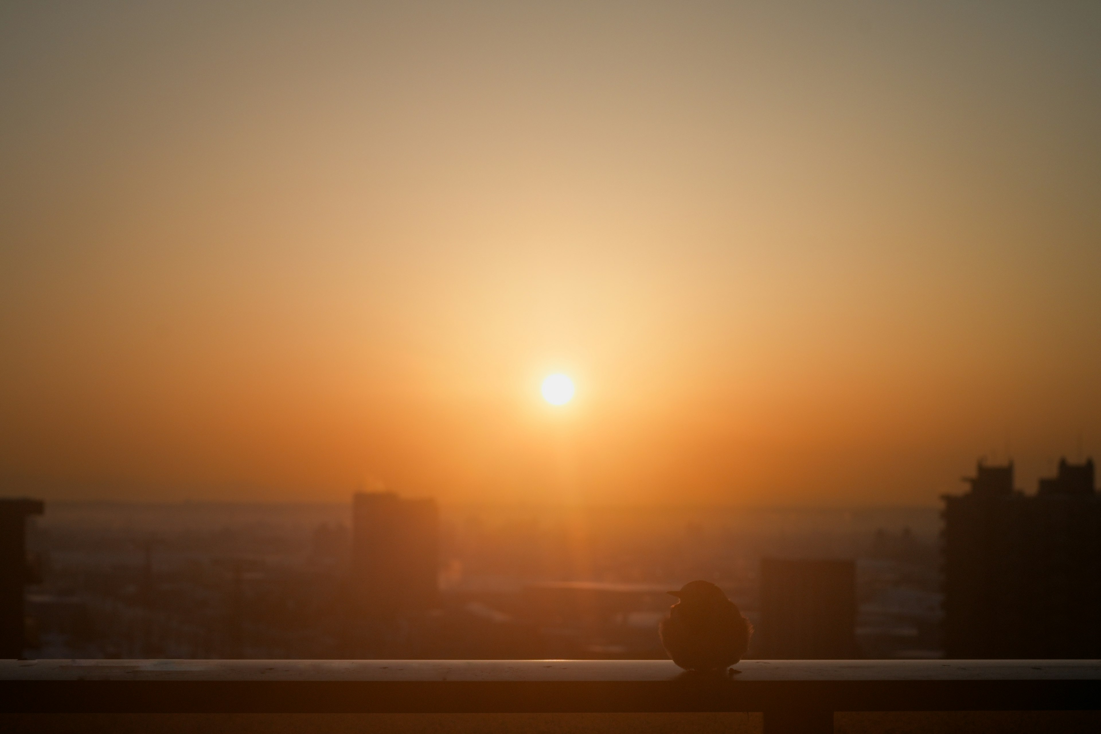 Lever de soleil sur la silhouette de la ville