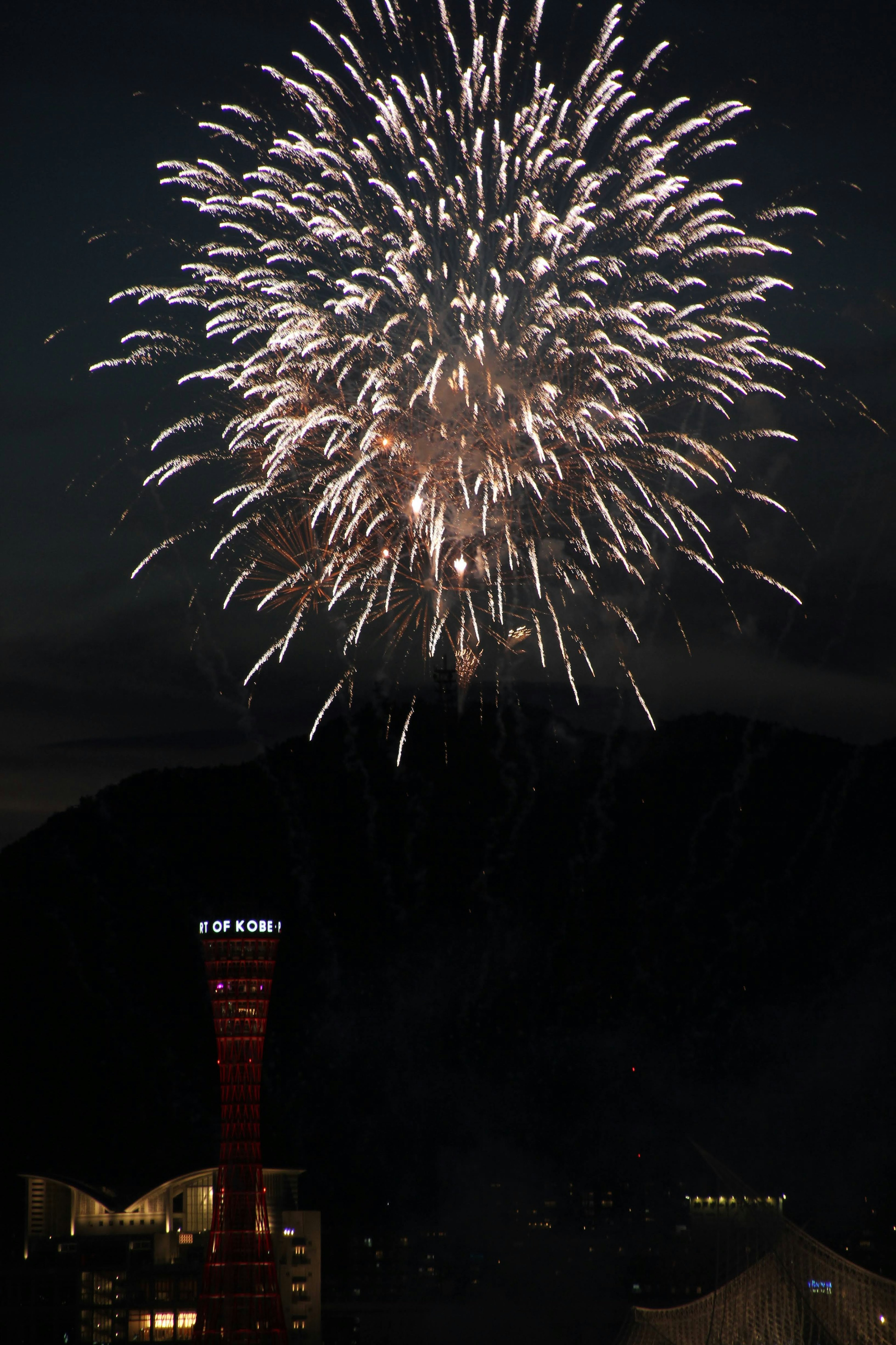 Fuochi d'artificio che esplodono nel cielo notturno con una silhouette di montagna