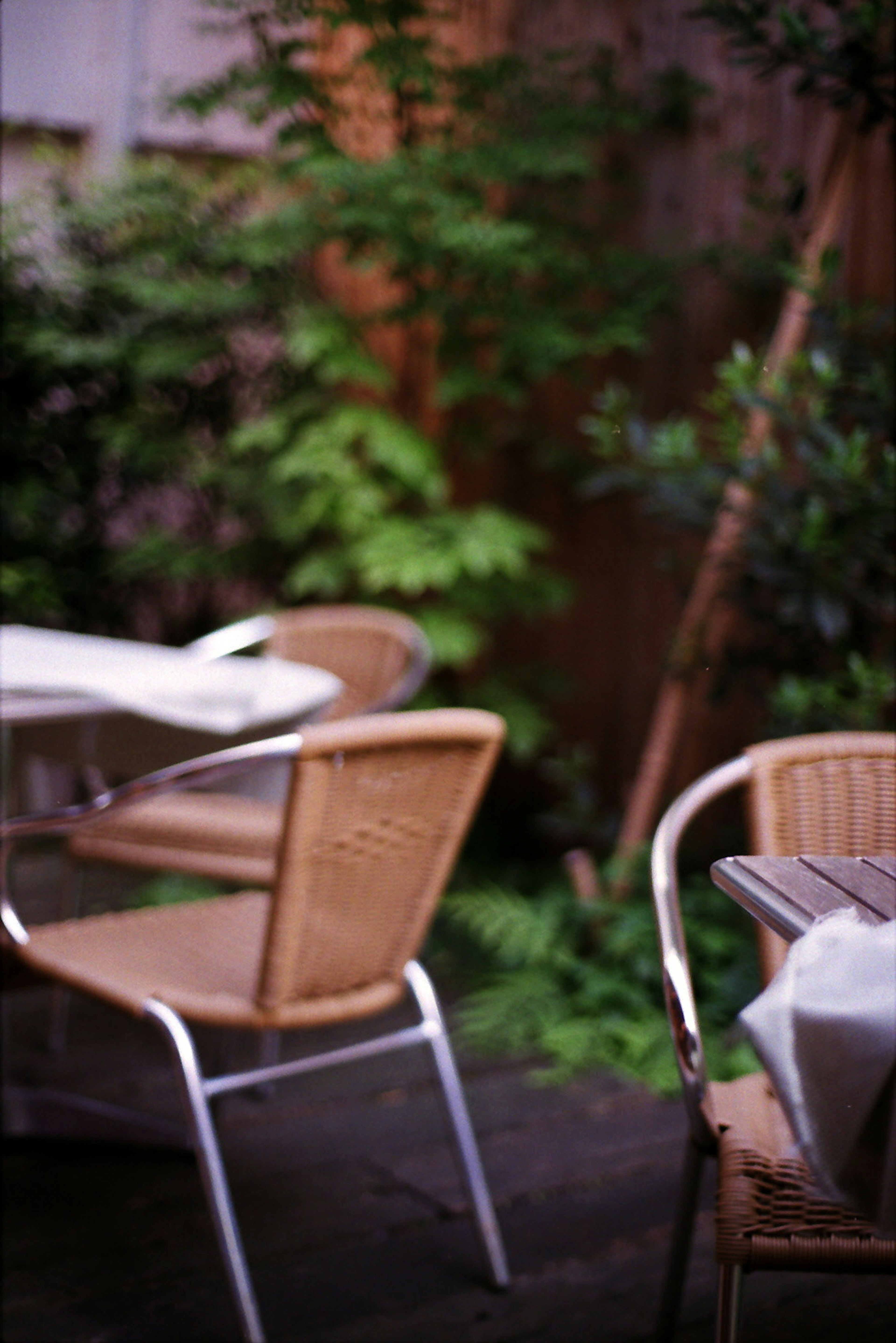 Café-Tisch und Stühle umgeben von grünen Pflanzen