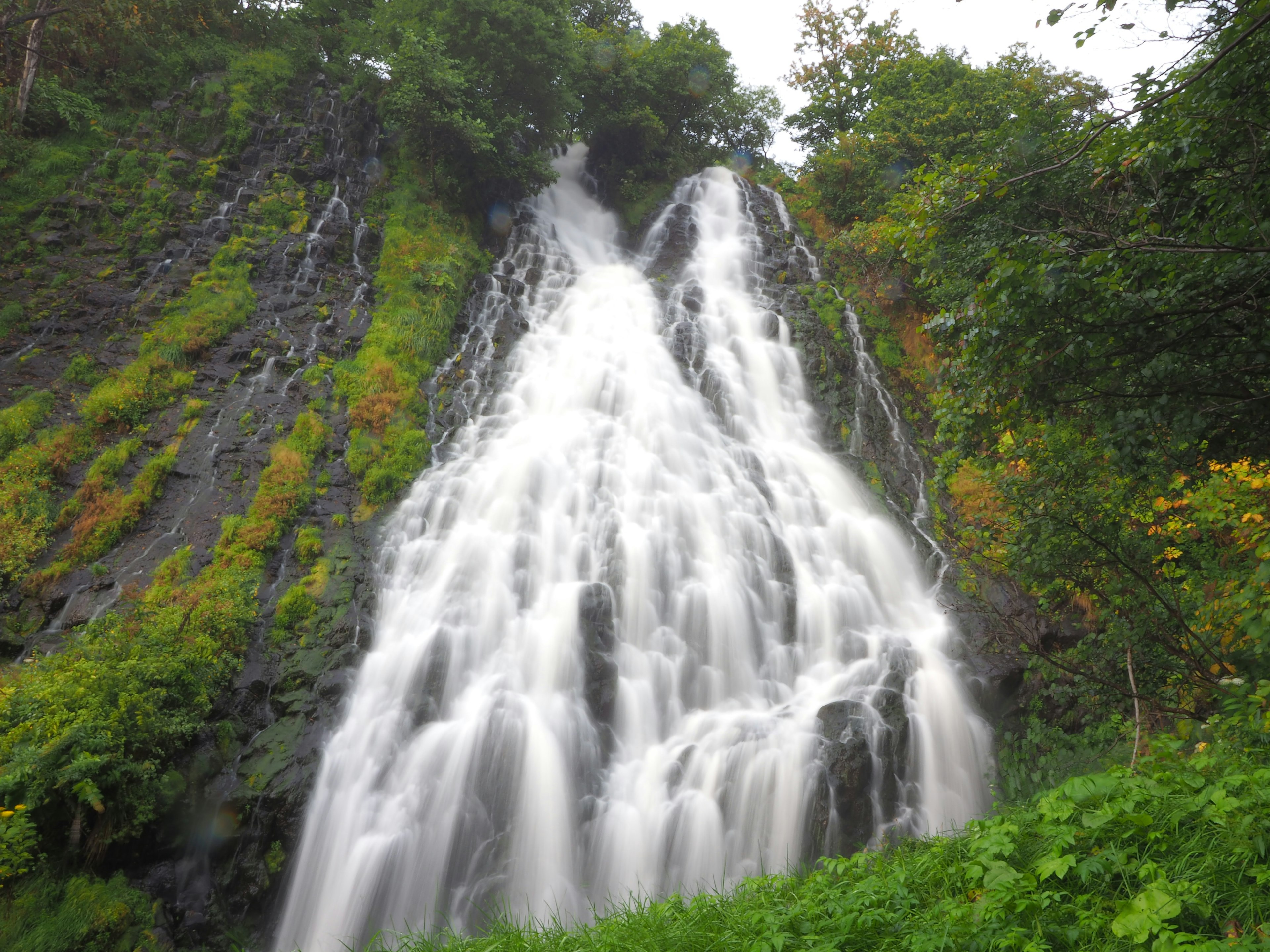 Una bellissima cascata che scorre circondata da erba verde e alberi