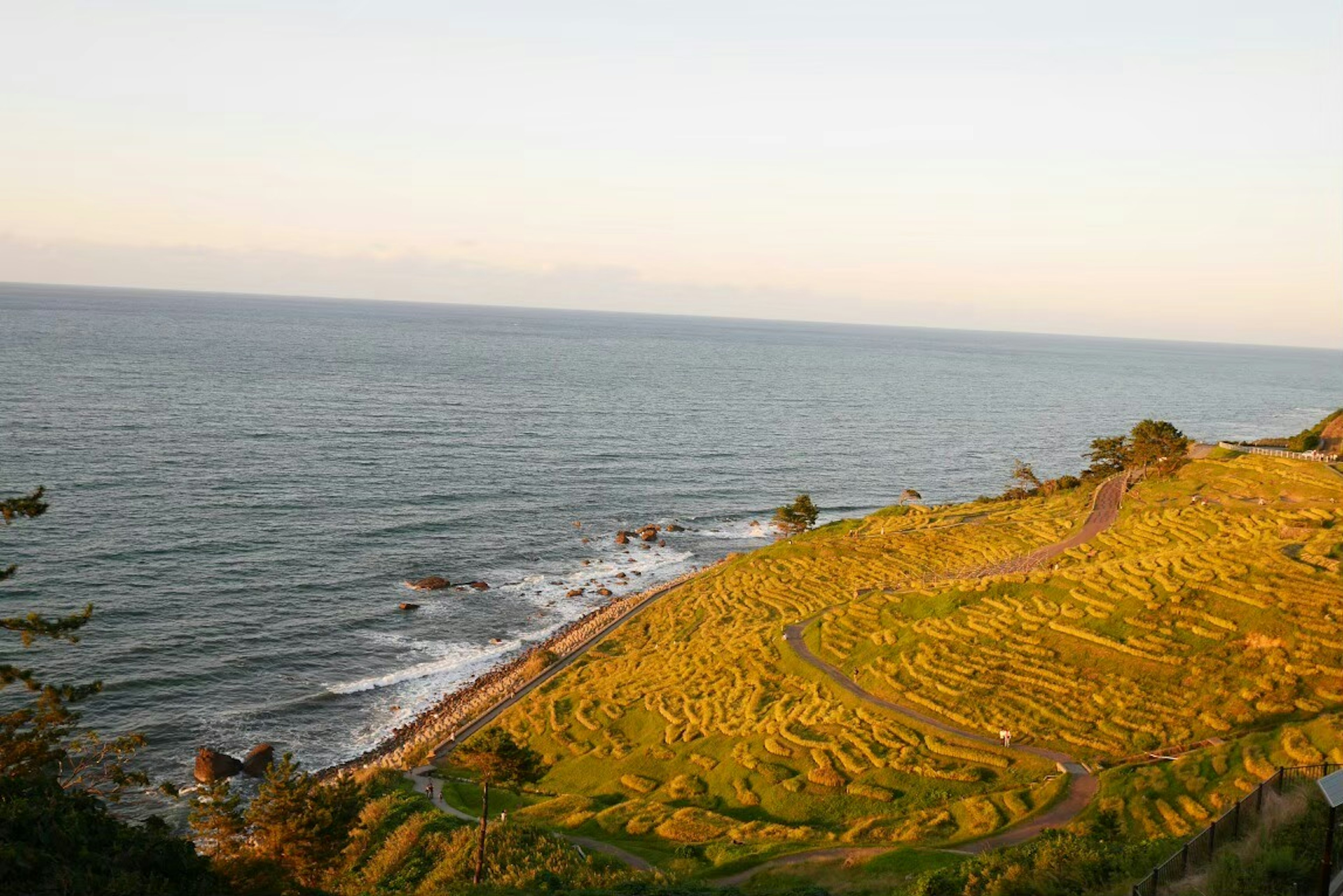 Scenic view of blue ocean and golden terraced fields