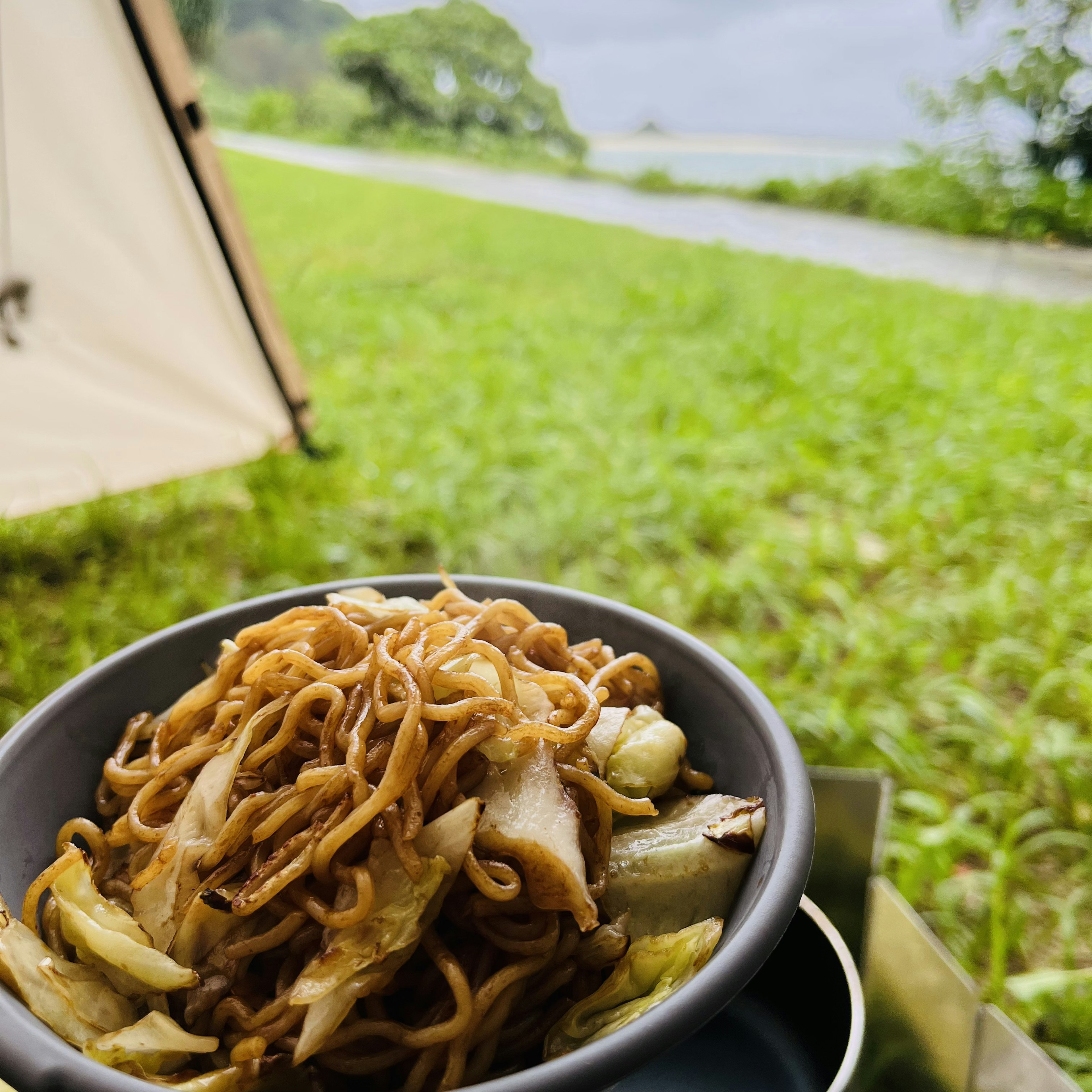 A bowl of stir-fried noodles with vegetables set on a grassy area near a river