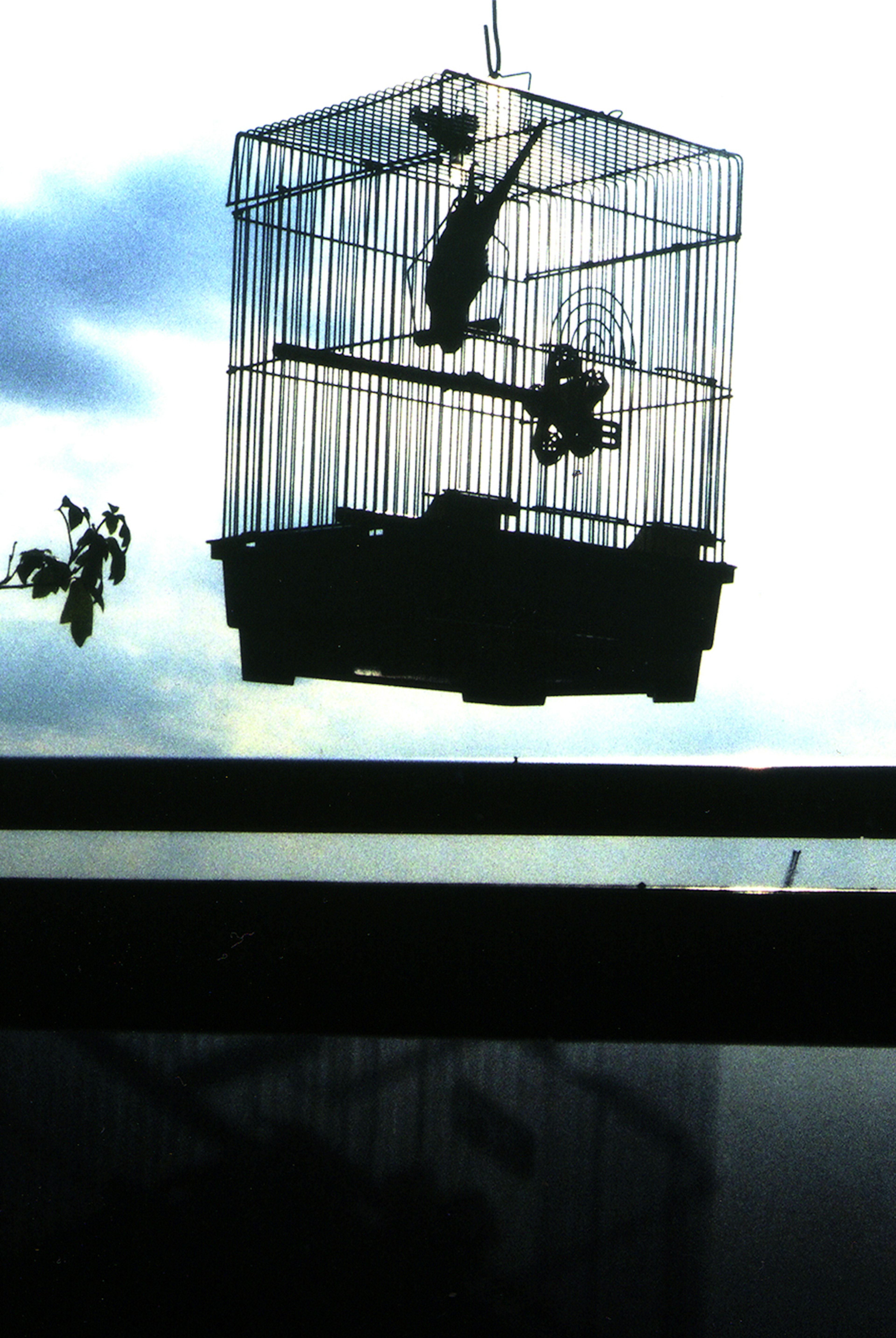 Silhouette eines Vogelkäfigs, der am Himmel hängt