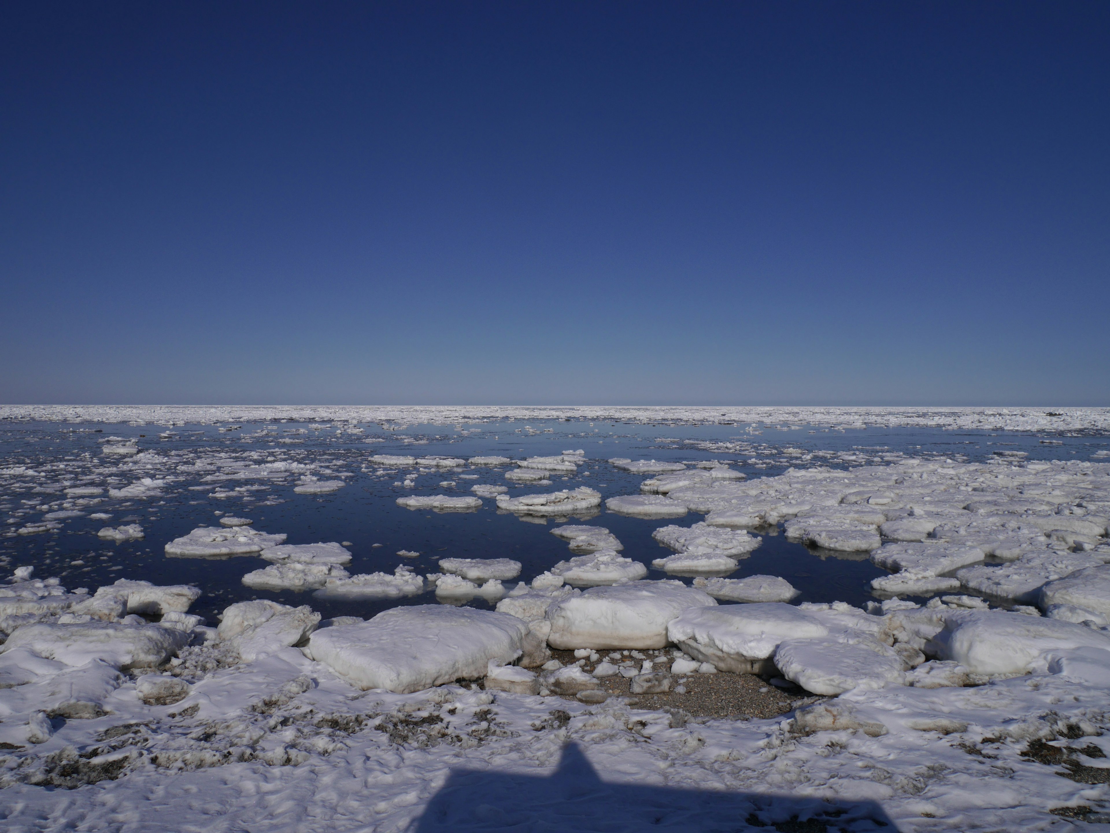 Landscape of a frozen sea with floating ice under a clear blue sky