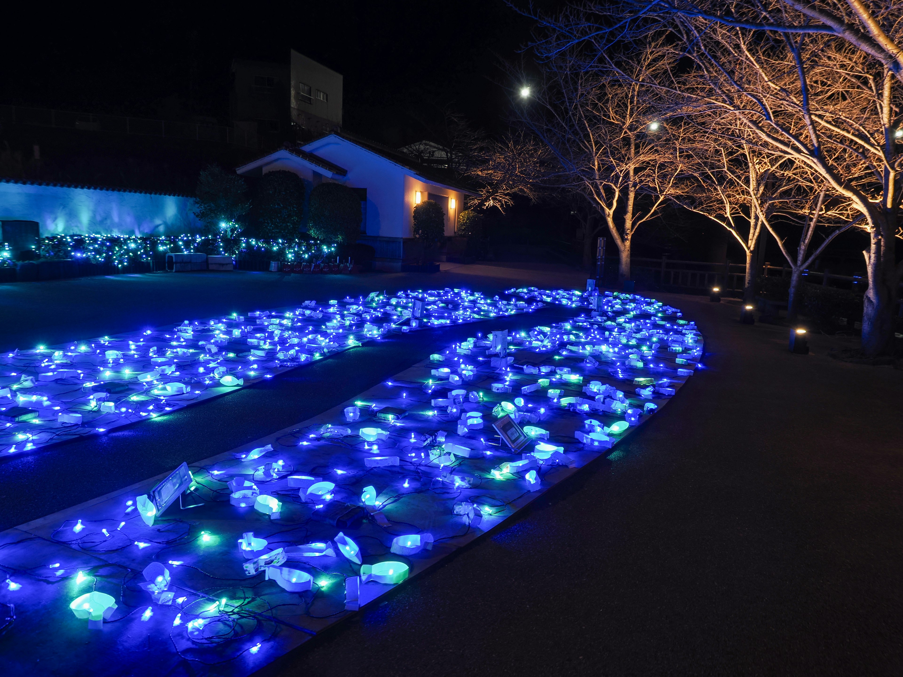 A nighttime garden scene illuminated by blue decorative lights