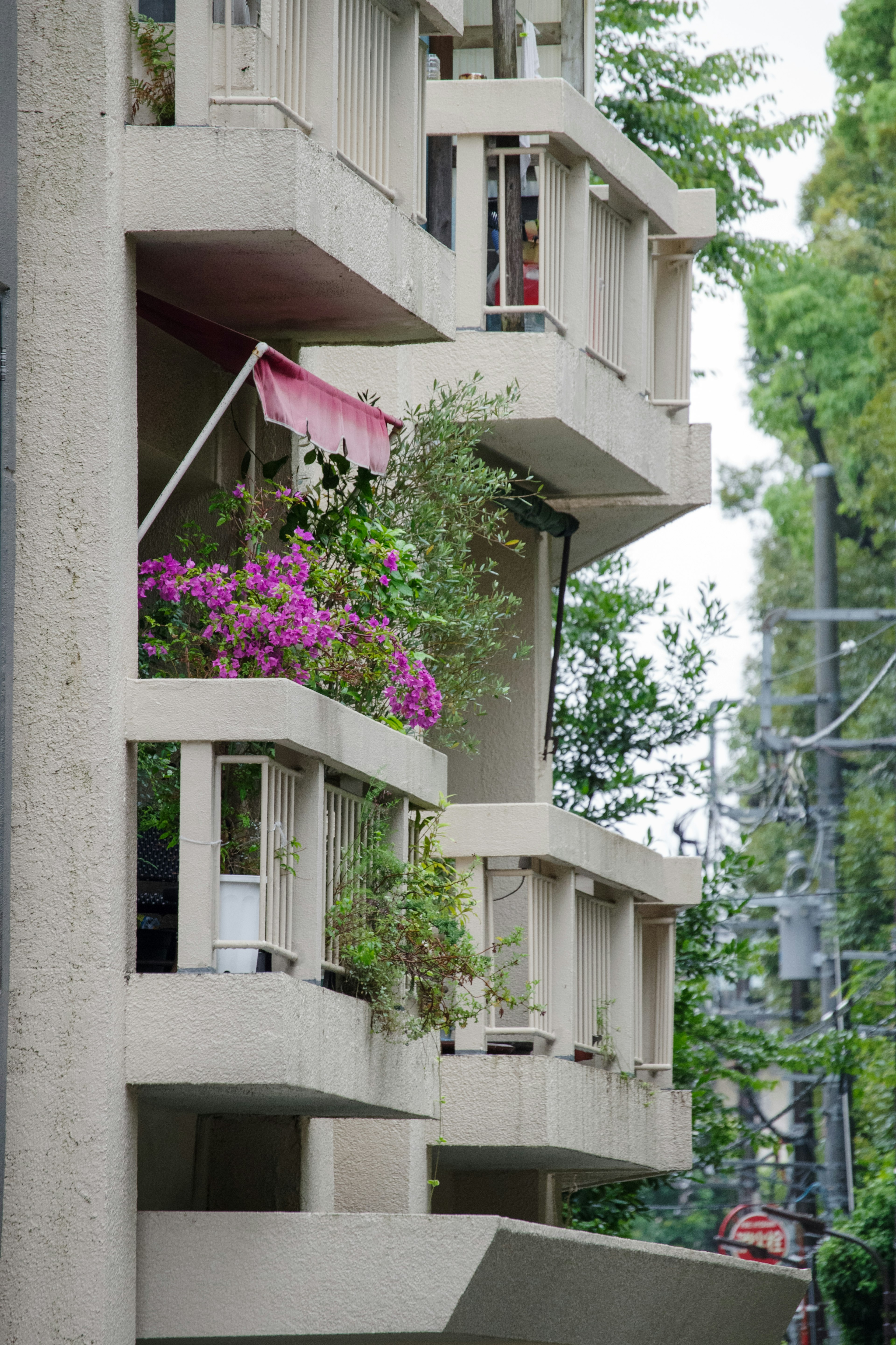 Modern building exterior with balconies adorned with blooming flowers