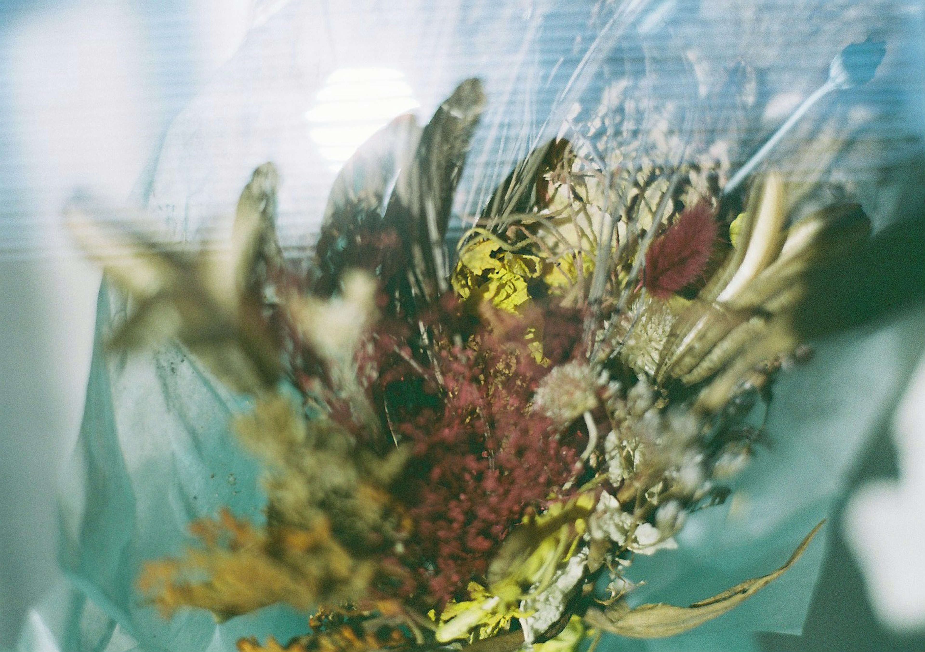 A bouquet of dried flowers wrapped in blue paper