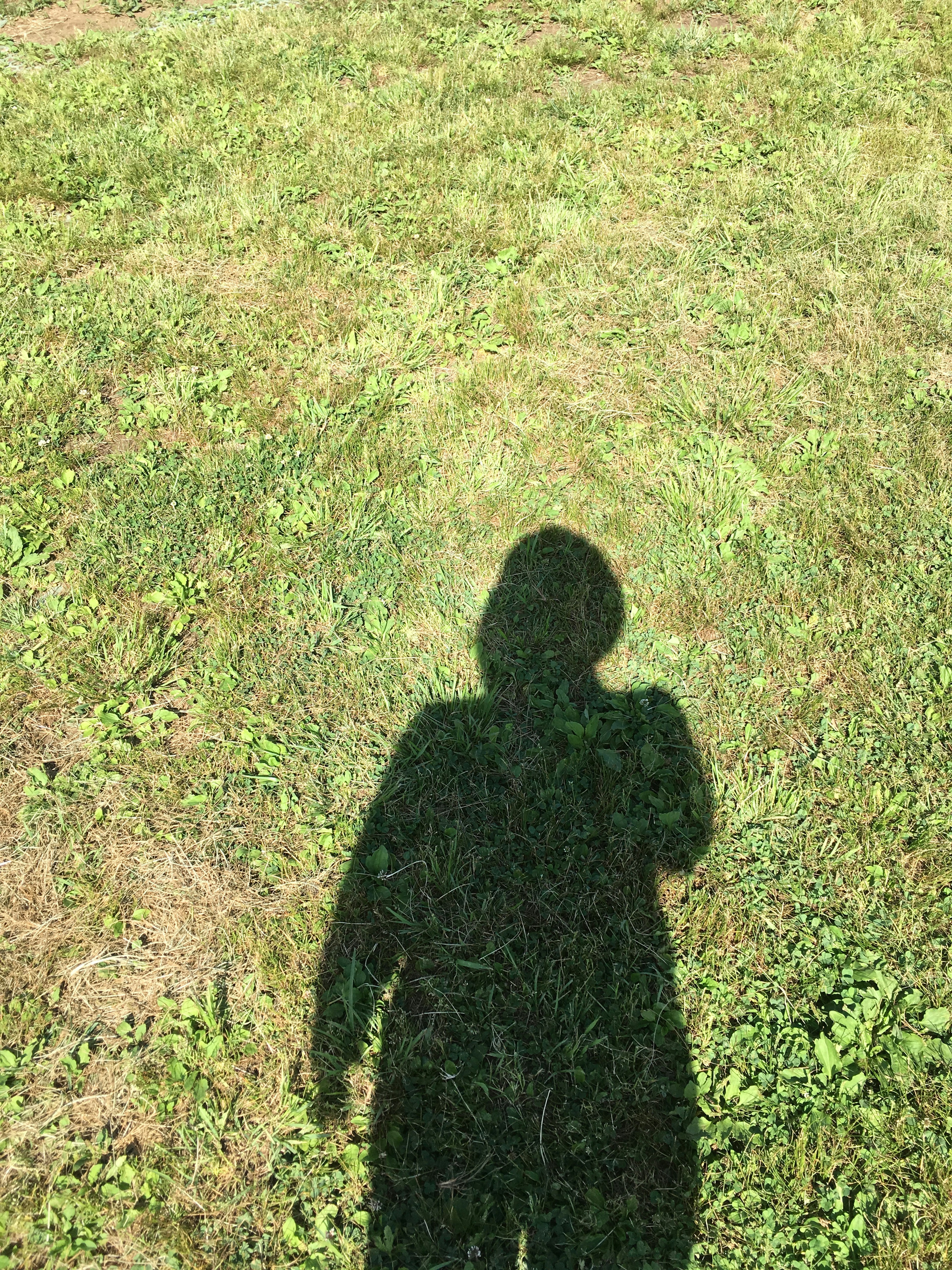 Ombre d'une personne sur de l'herbe