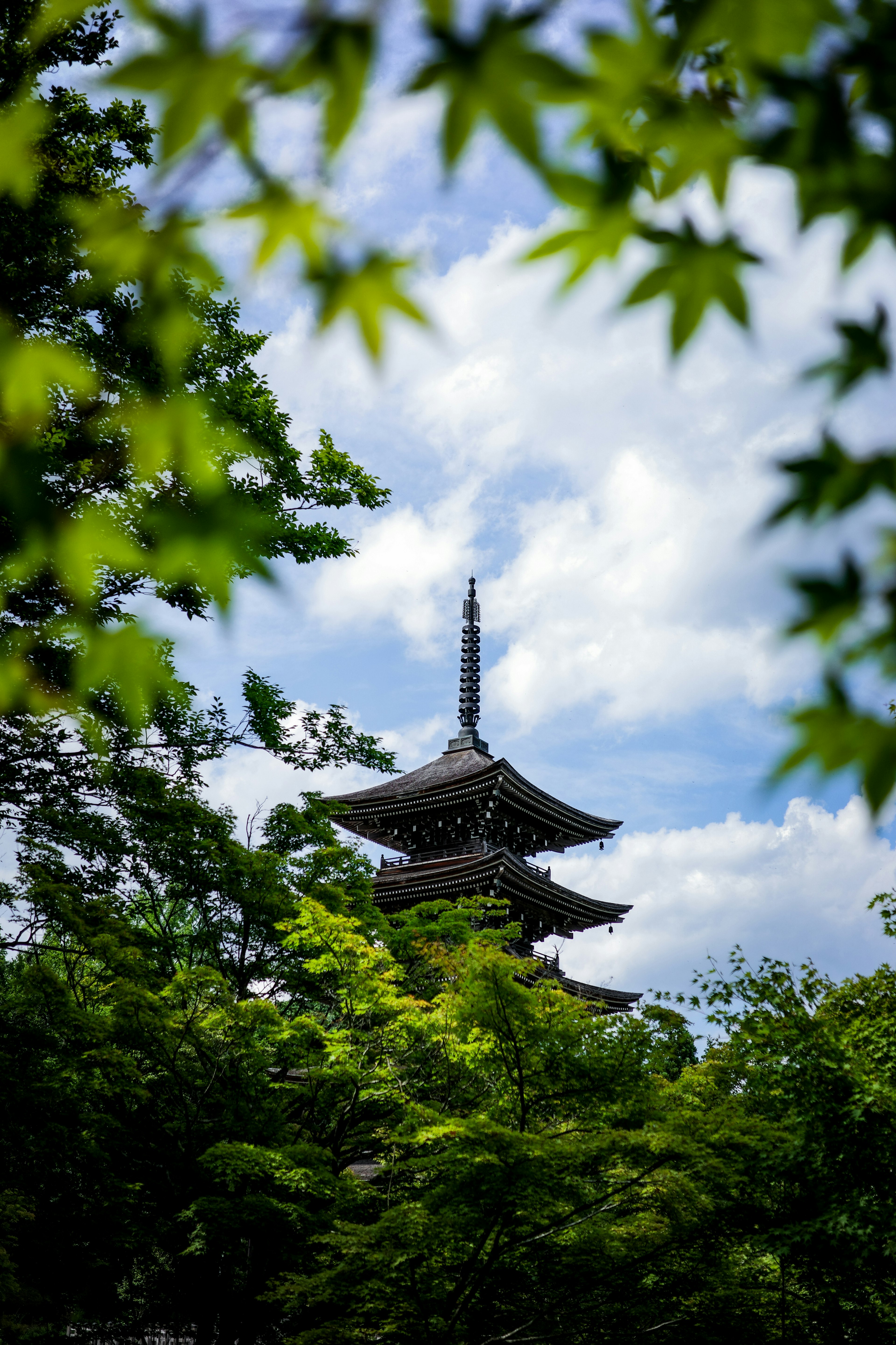 Pagode à cinq étages se dressant sous un ciel bleu entouré de feuilles vertes