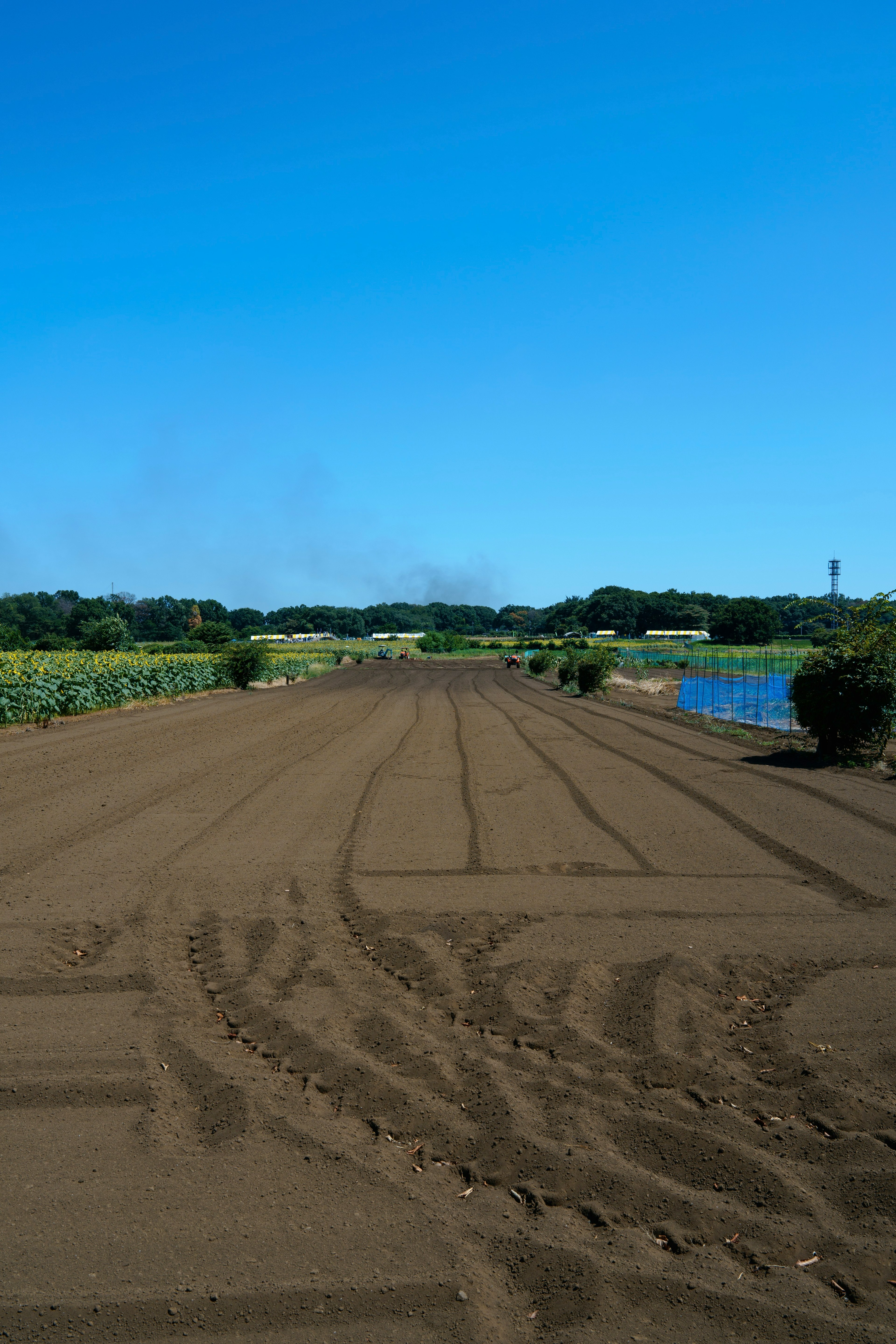 Campo coltivato sotto un cielo blu con solchi regolarmente distanziati e un corpo d'acqua nelle vicinanze