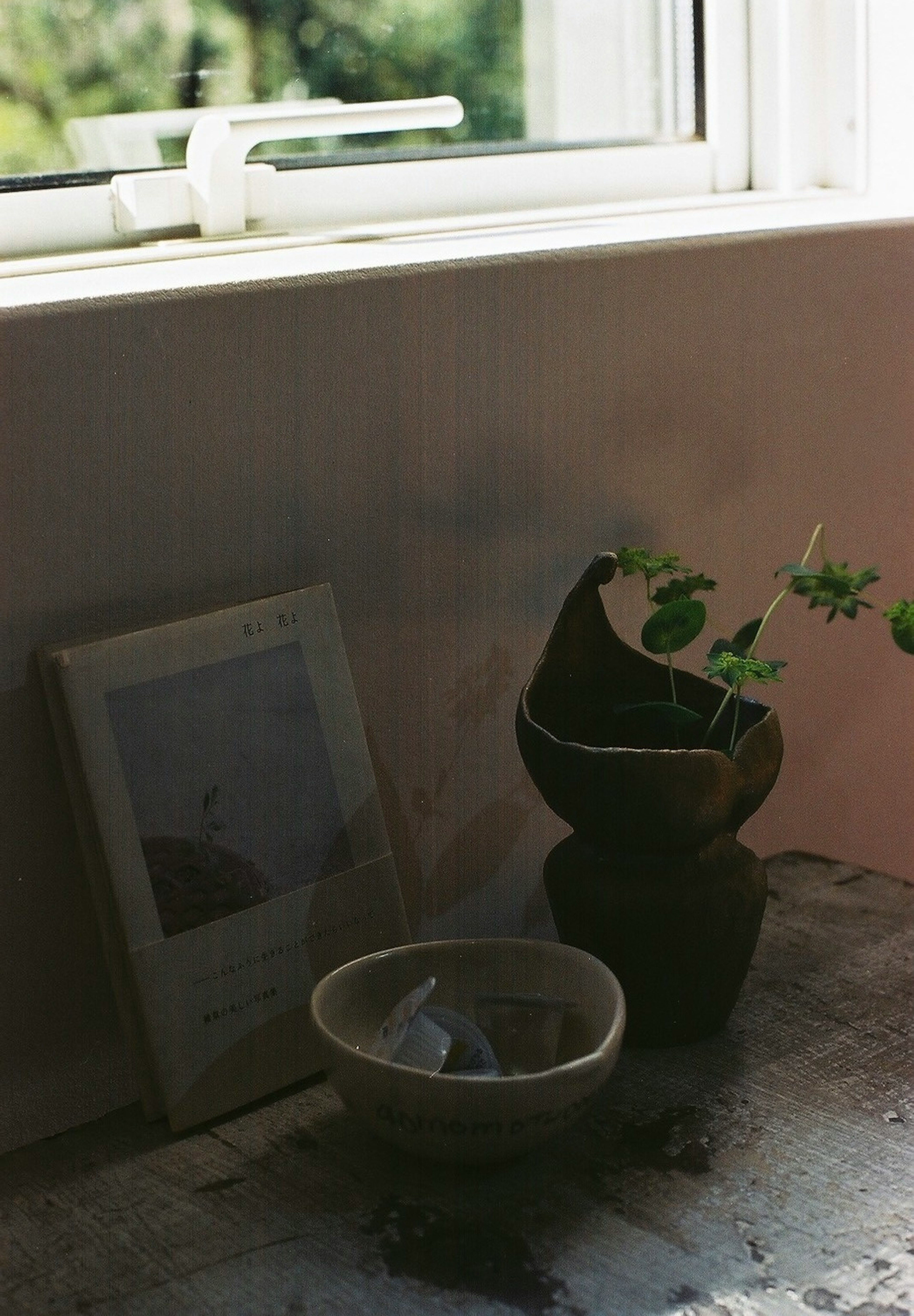 Ceramic pots and a plant on a windowsill with a picture frame