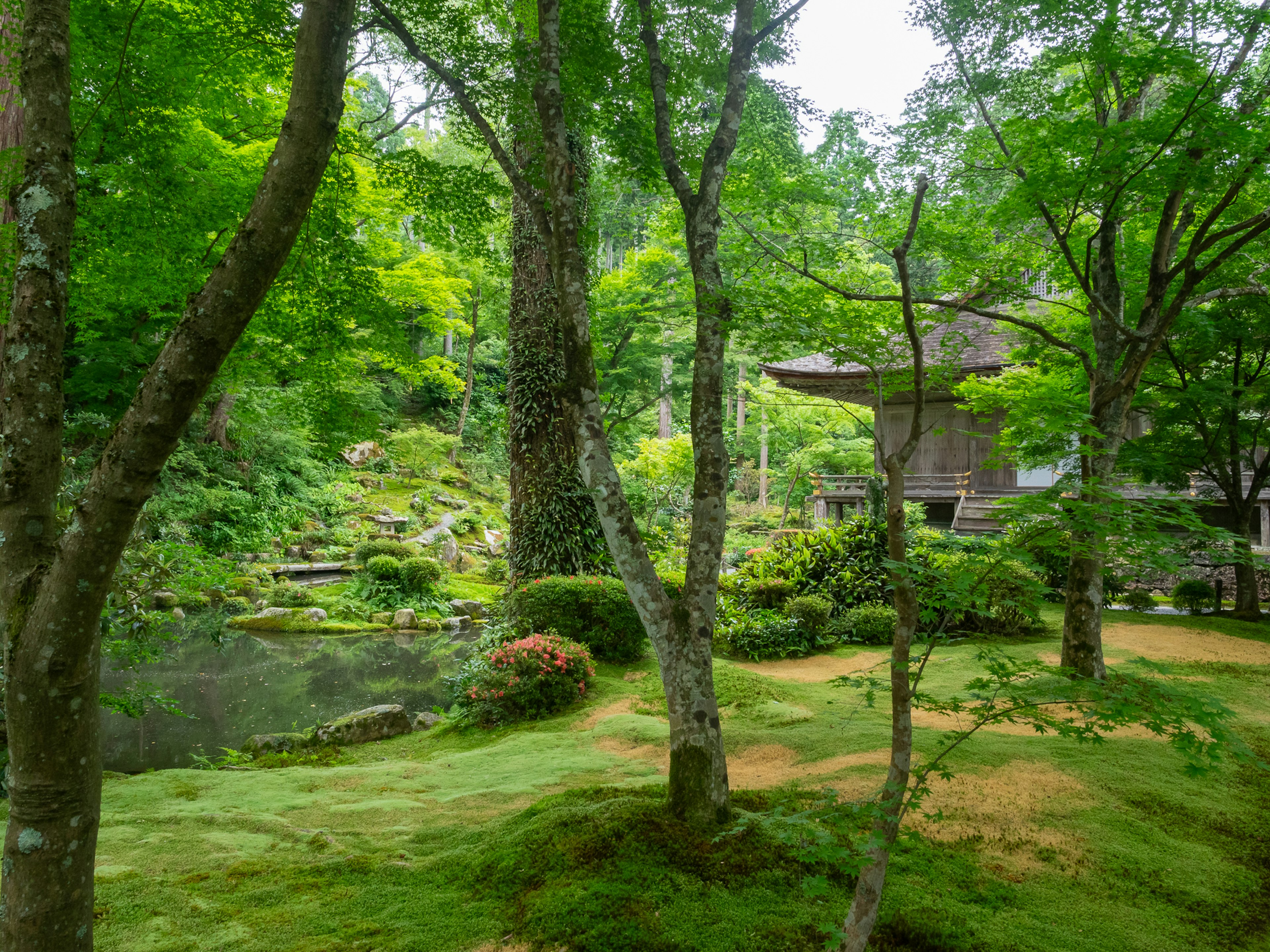 郁郁葱葱的花园场景，树木环绕着一个池塘和一座古老的建筑