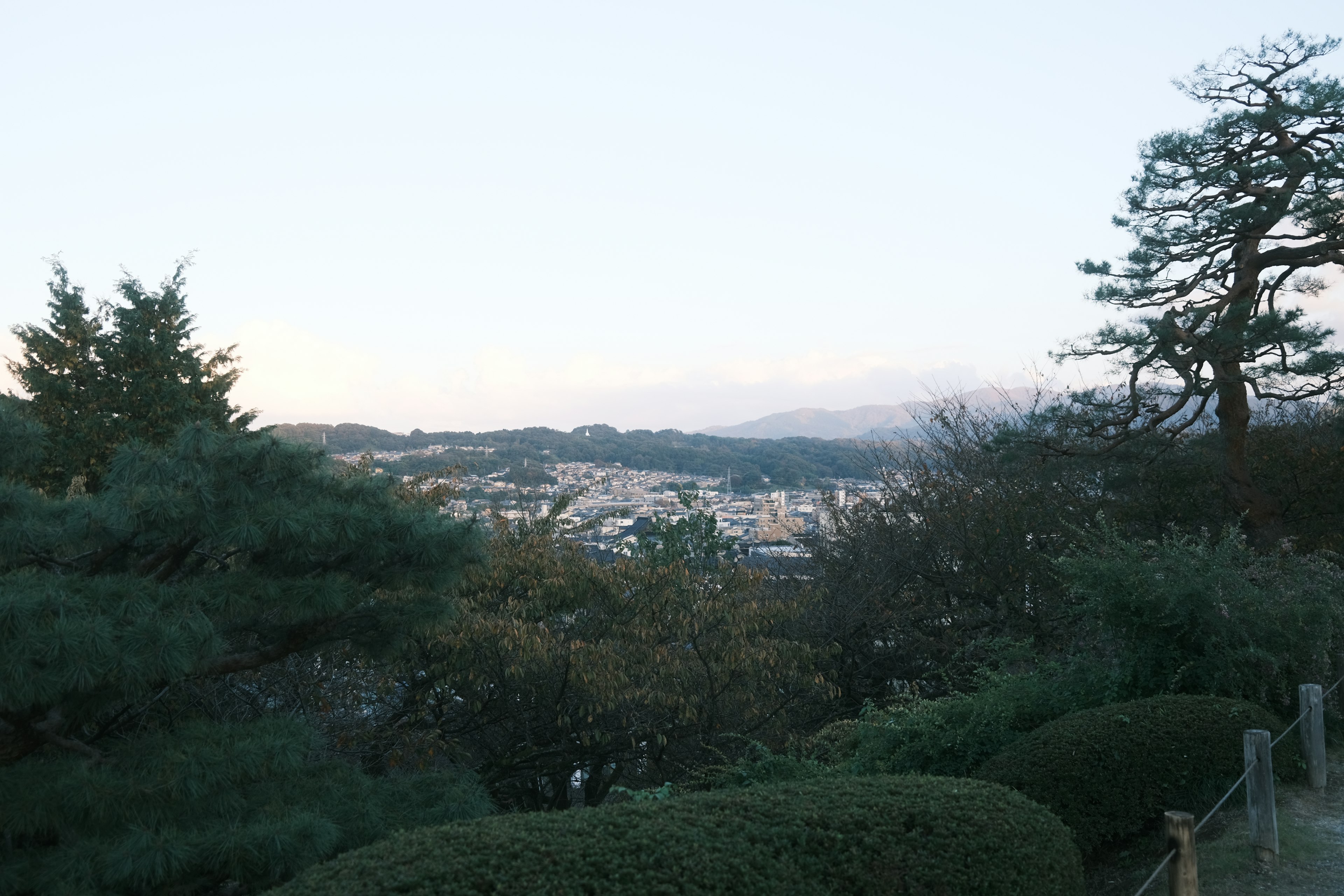 산과 도시를 바라보는 경치로 녹색 나무와 낮은 관목이 전경에 있고 먼 곳에 건물이 보임