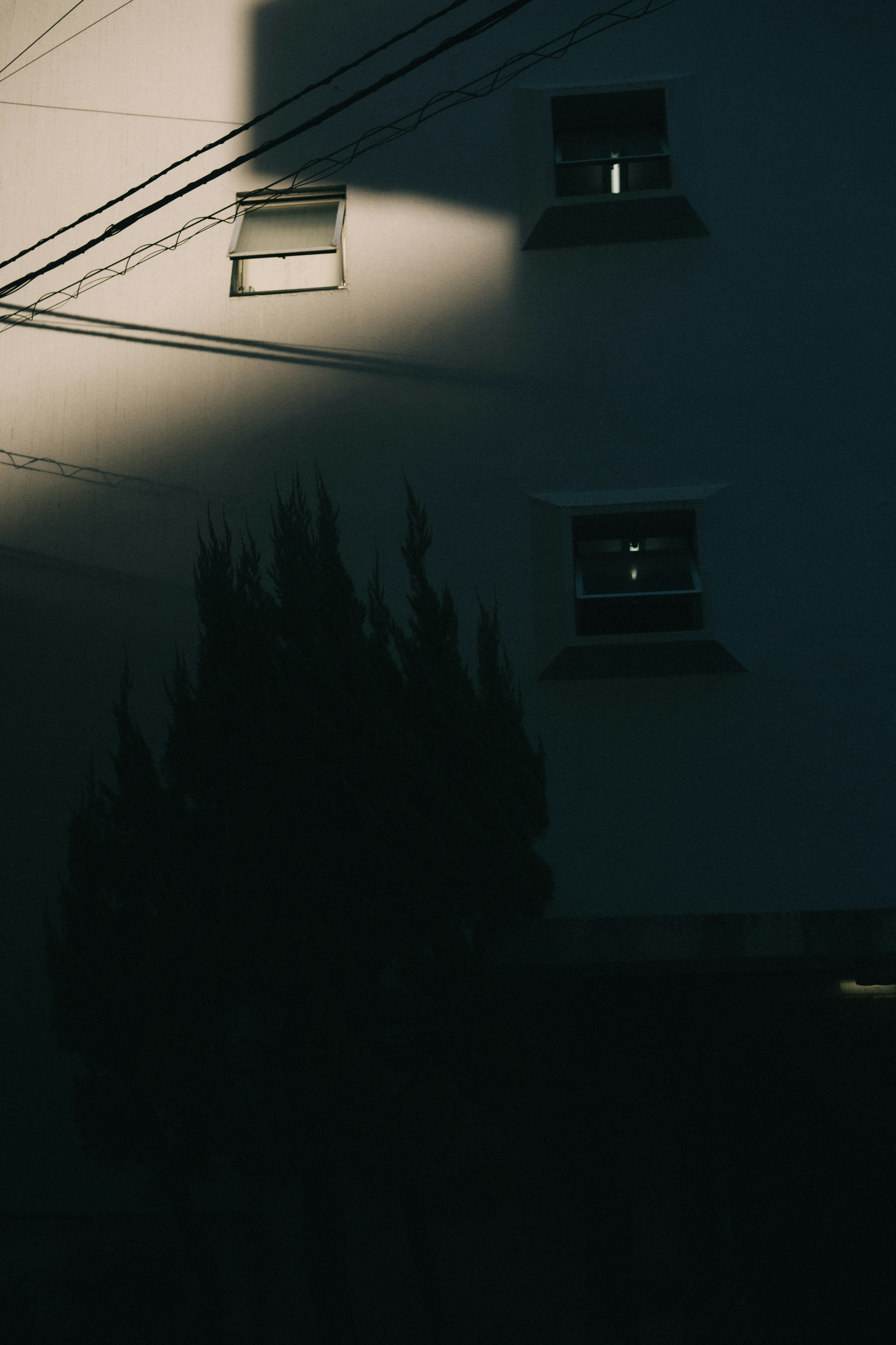 Parte de un edificio con ventanas y un árbol en sombra en un fondo oscuro