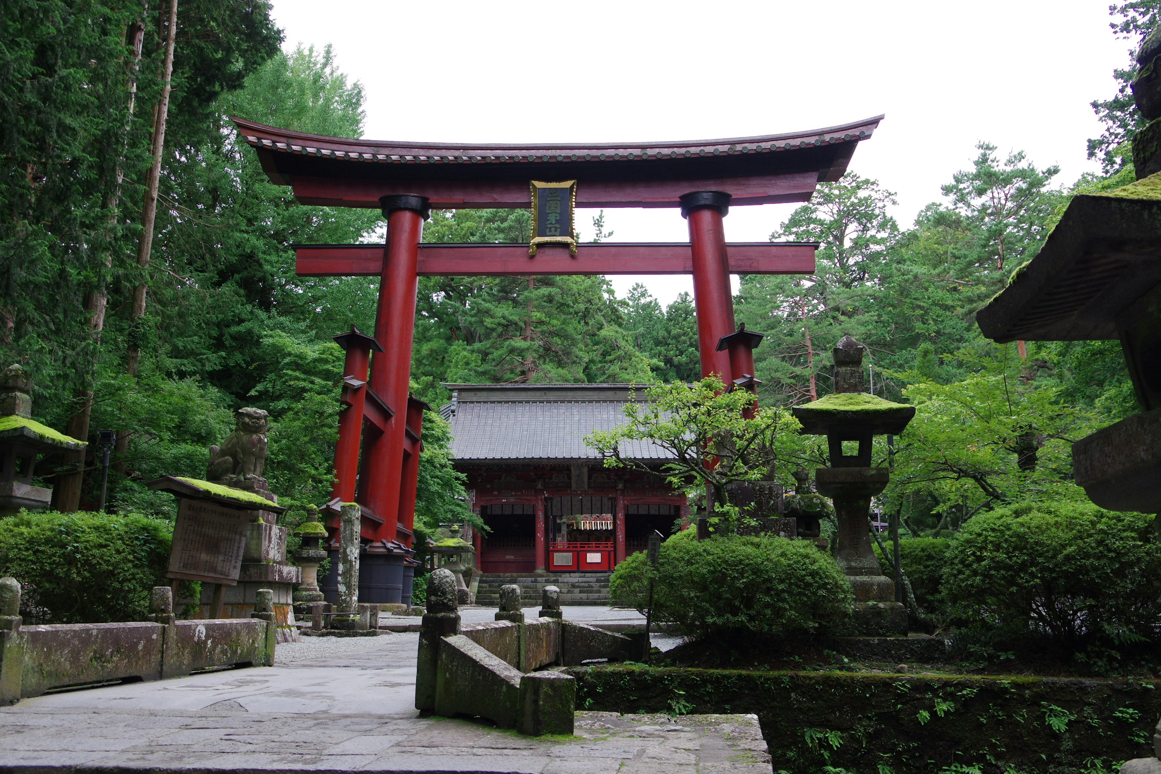 緑に囲まれた赤い鳥居と庭石灯篭がある静かな神社の入口