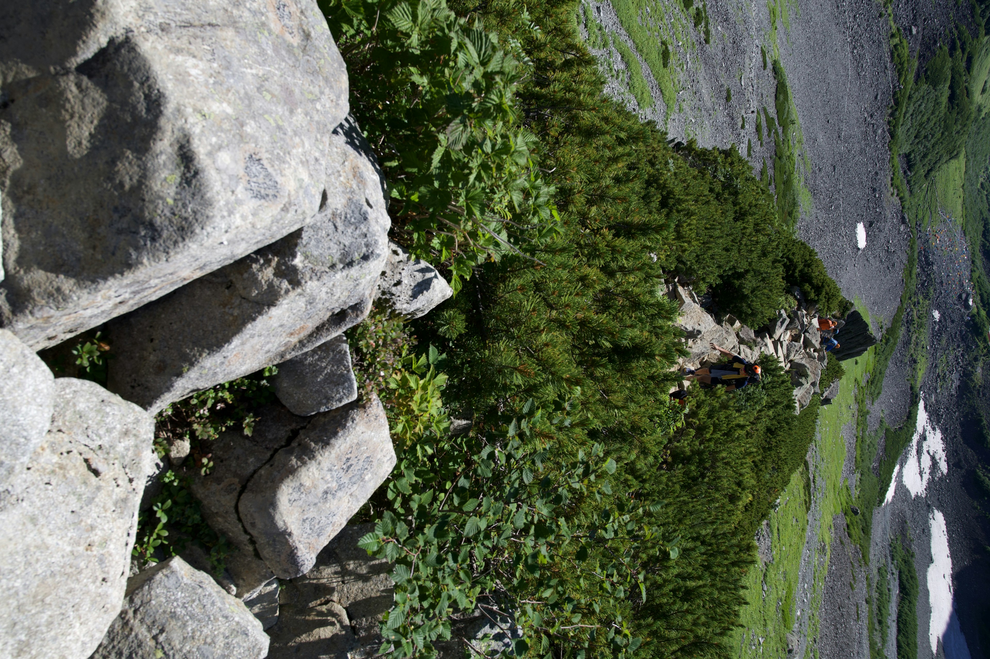 A landscape photo featuring rocks and green vegetation