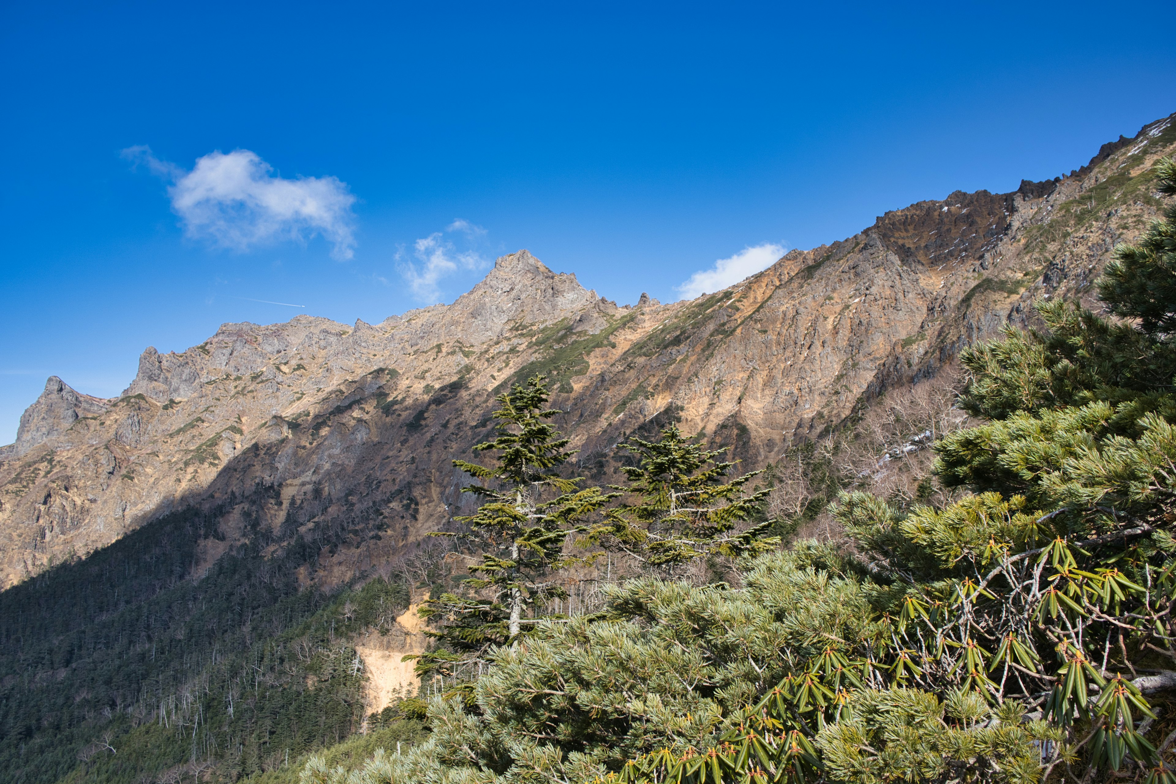 Mountain landscape under a blue sky with lush green forest