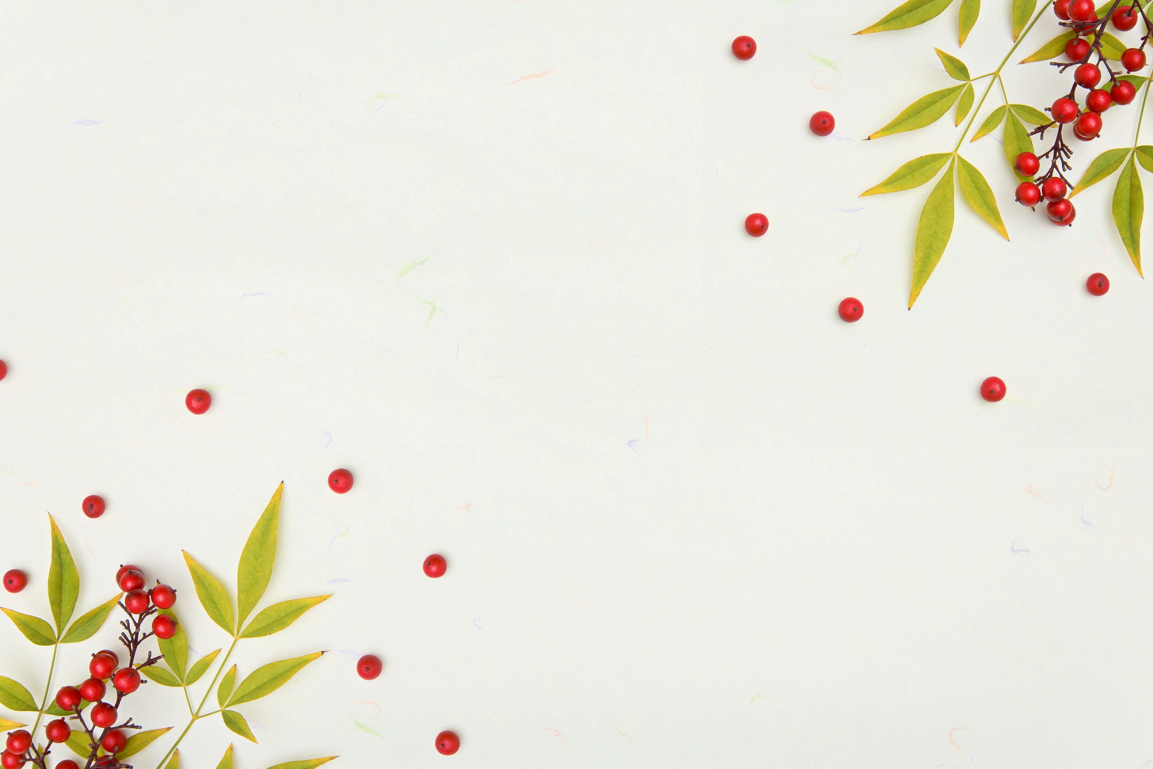 Design with red berries and green leaves on a white background