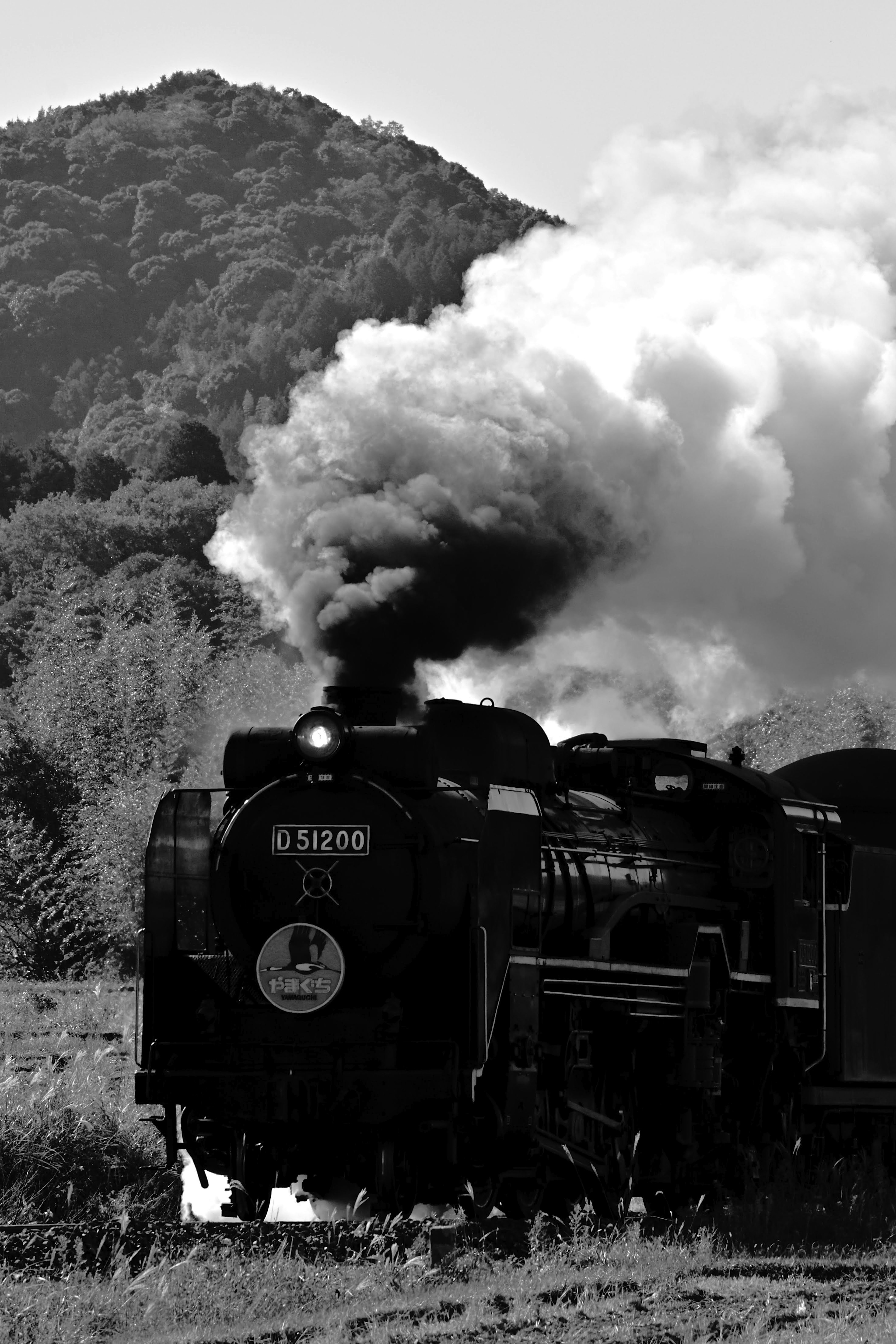 Schwarz-weiße Dampflokomotive, die Rauch abgibt, mit Bergen im Hintergrund