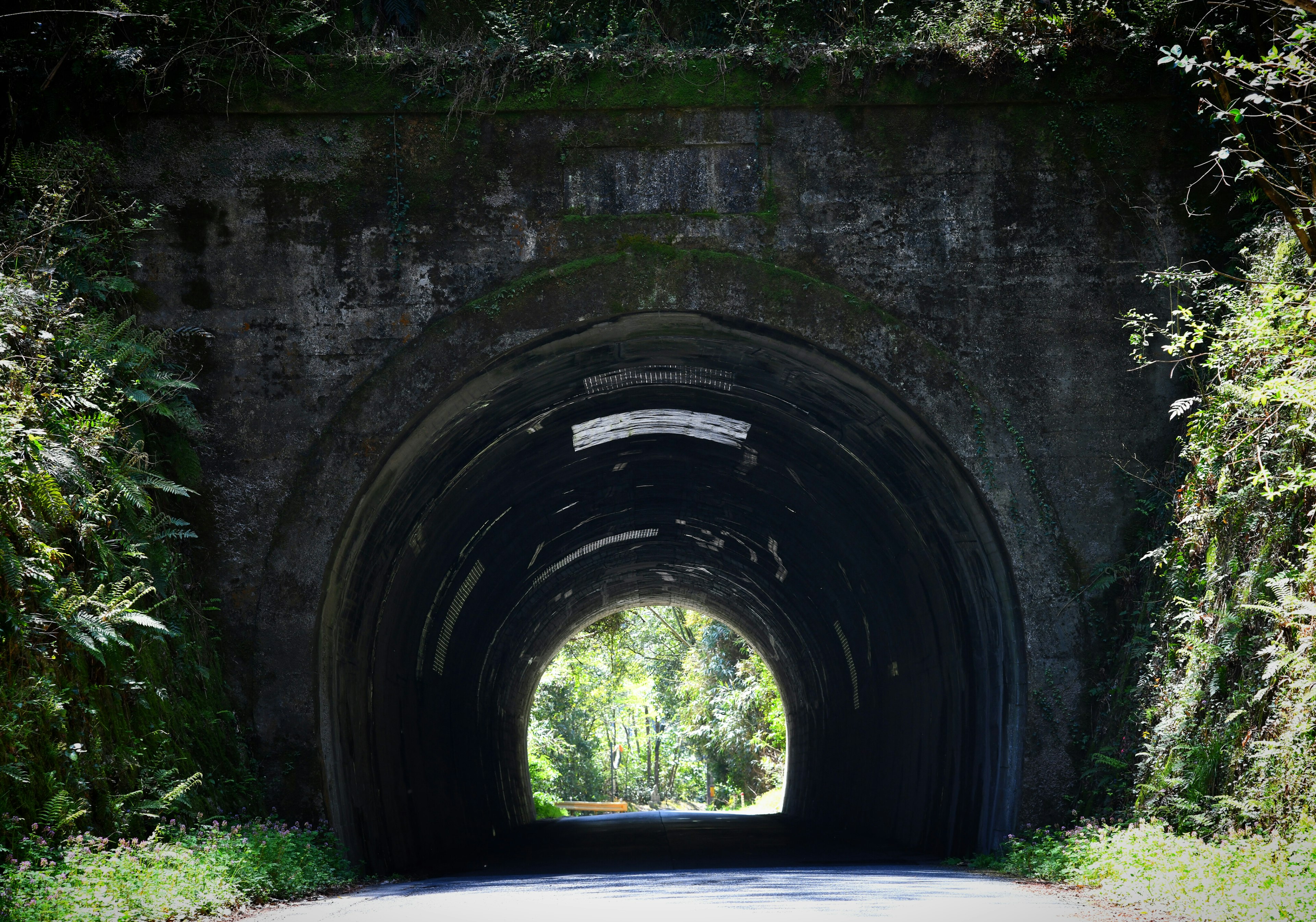 Foto de un túnel rodeado de vegetación con una carretera que pasa a través