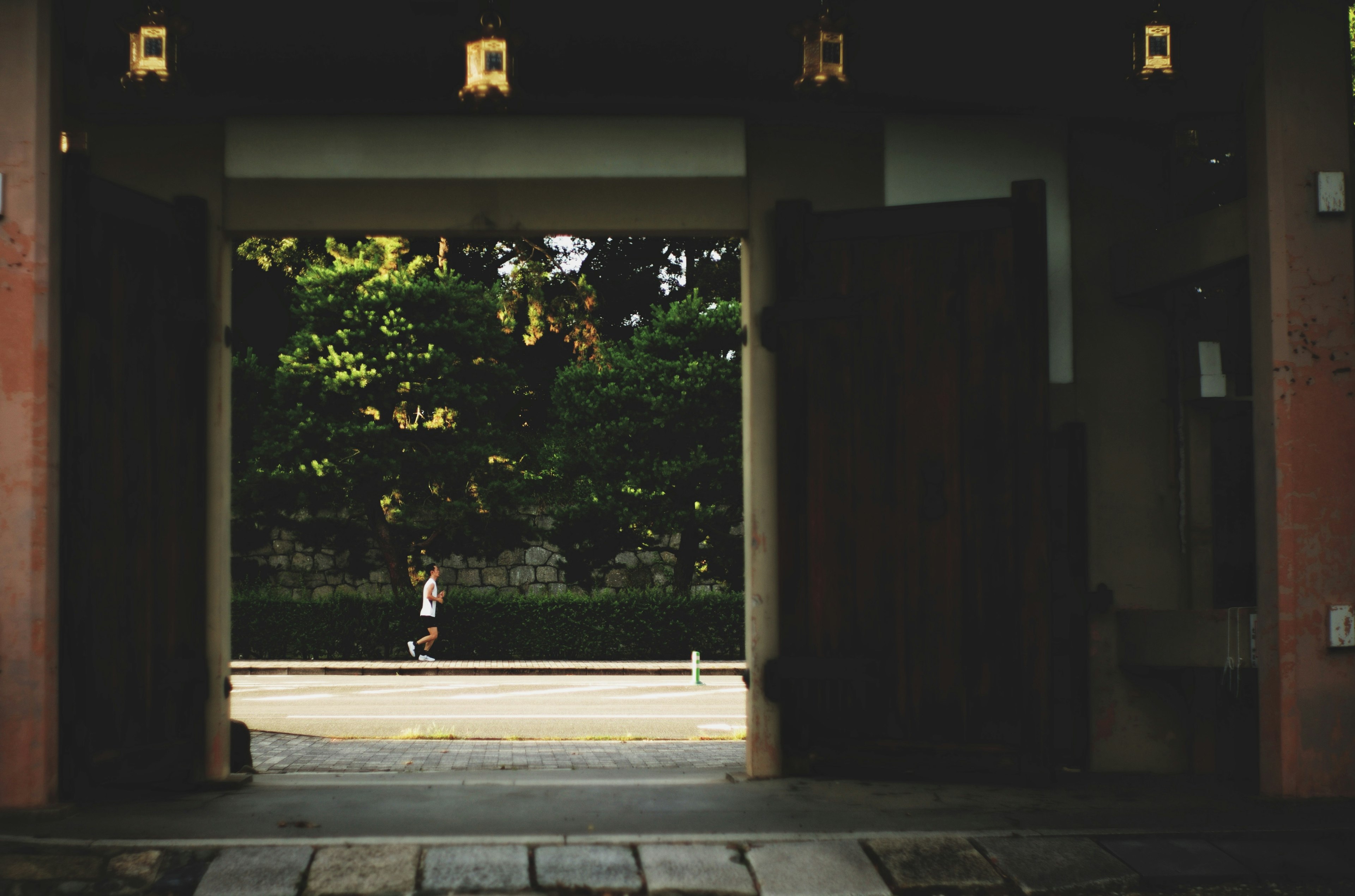 A view through a large gate showcasing green trees outside with a person walking within the gate