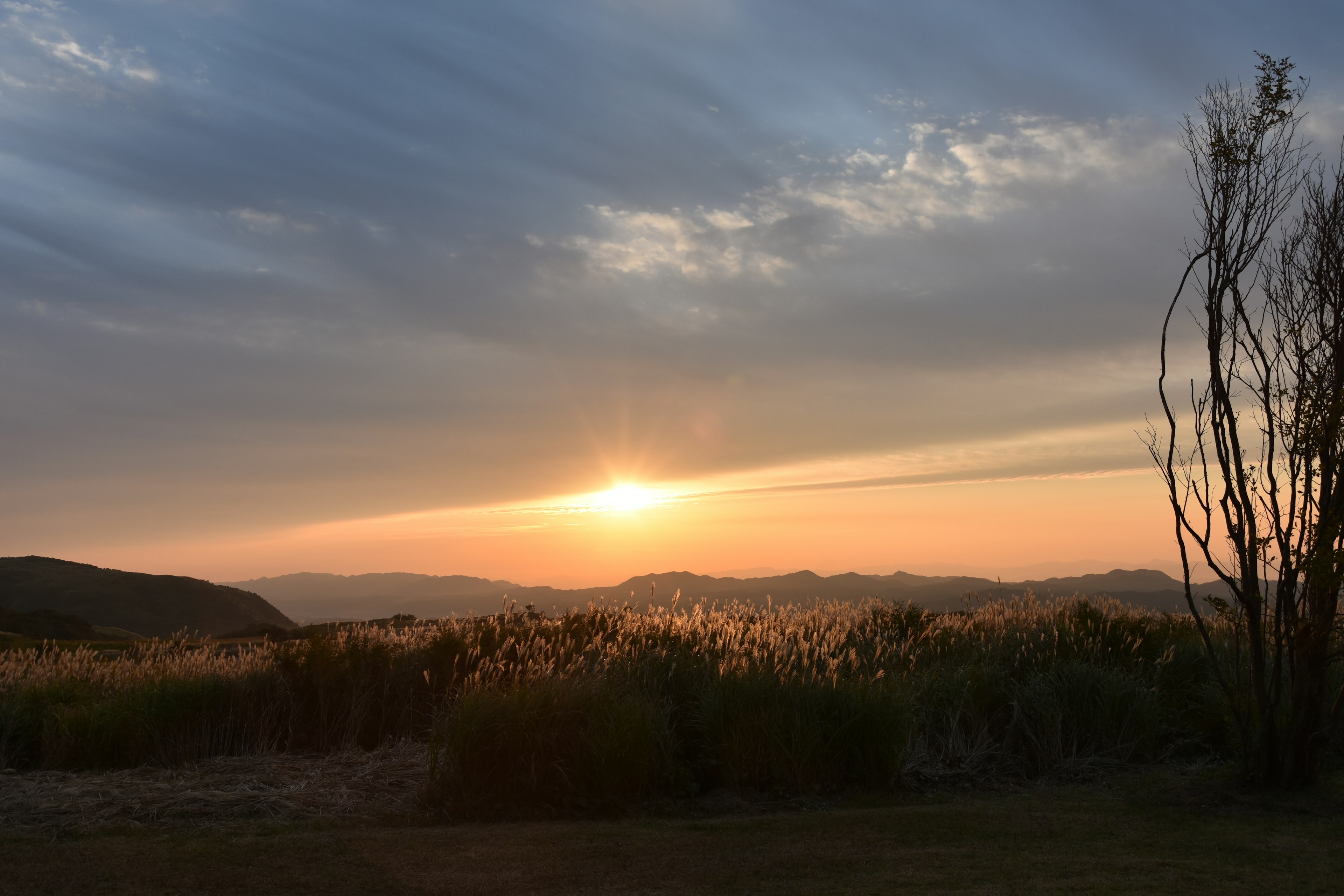 夕日が沈む風景、山々と草原が広がる