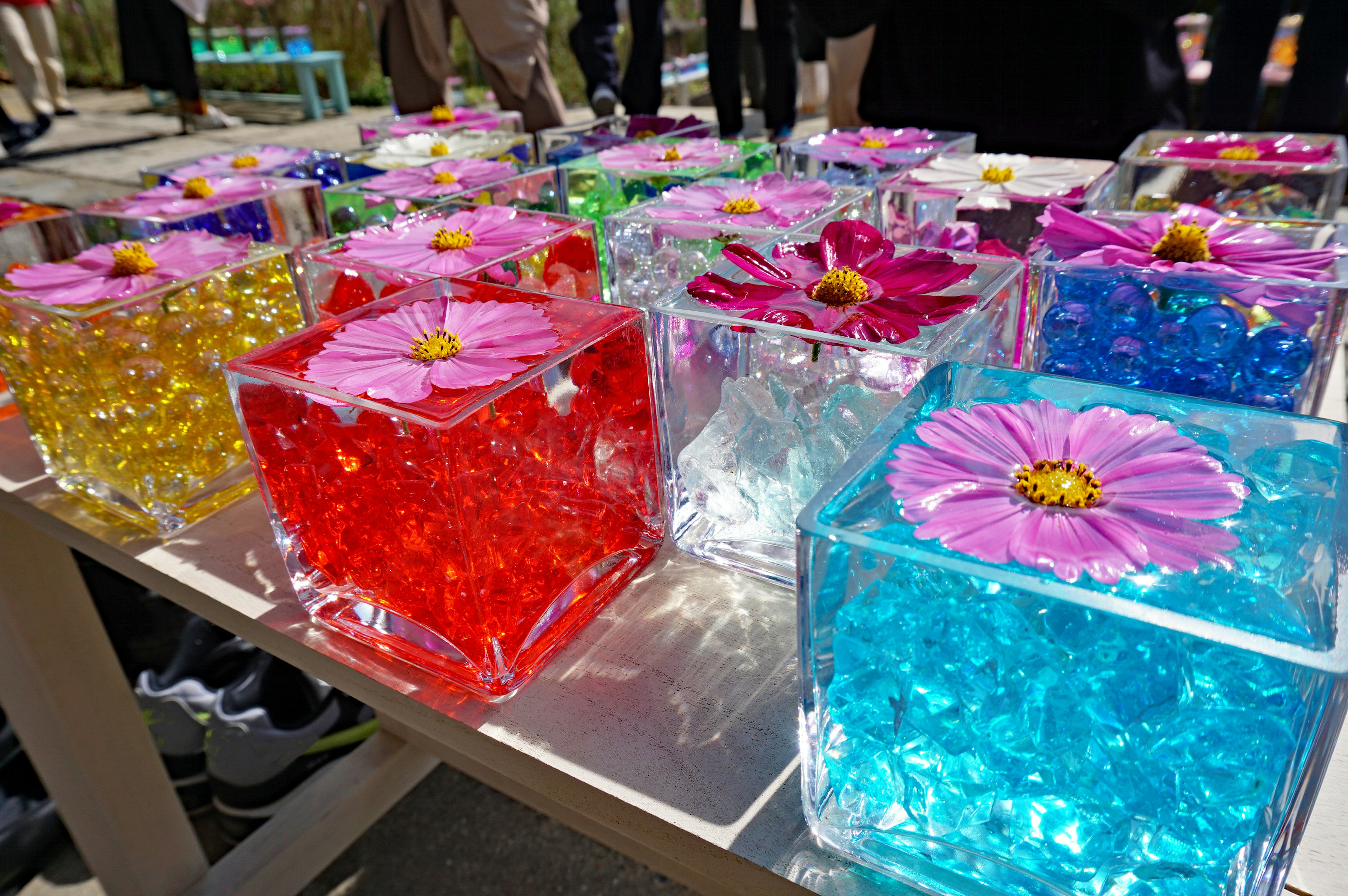 Colorful transparent blocks adorned with flowers in artistic display