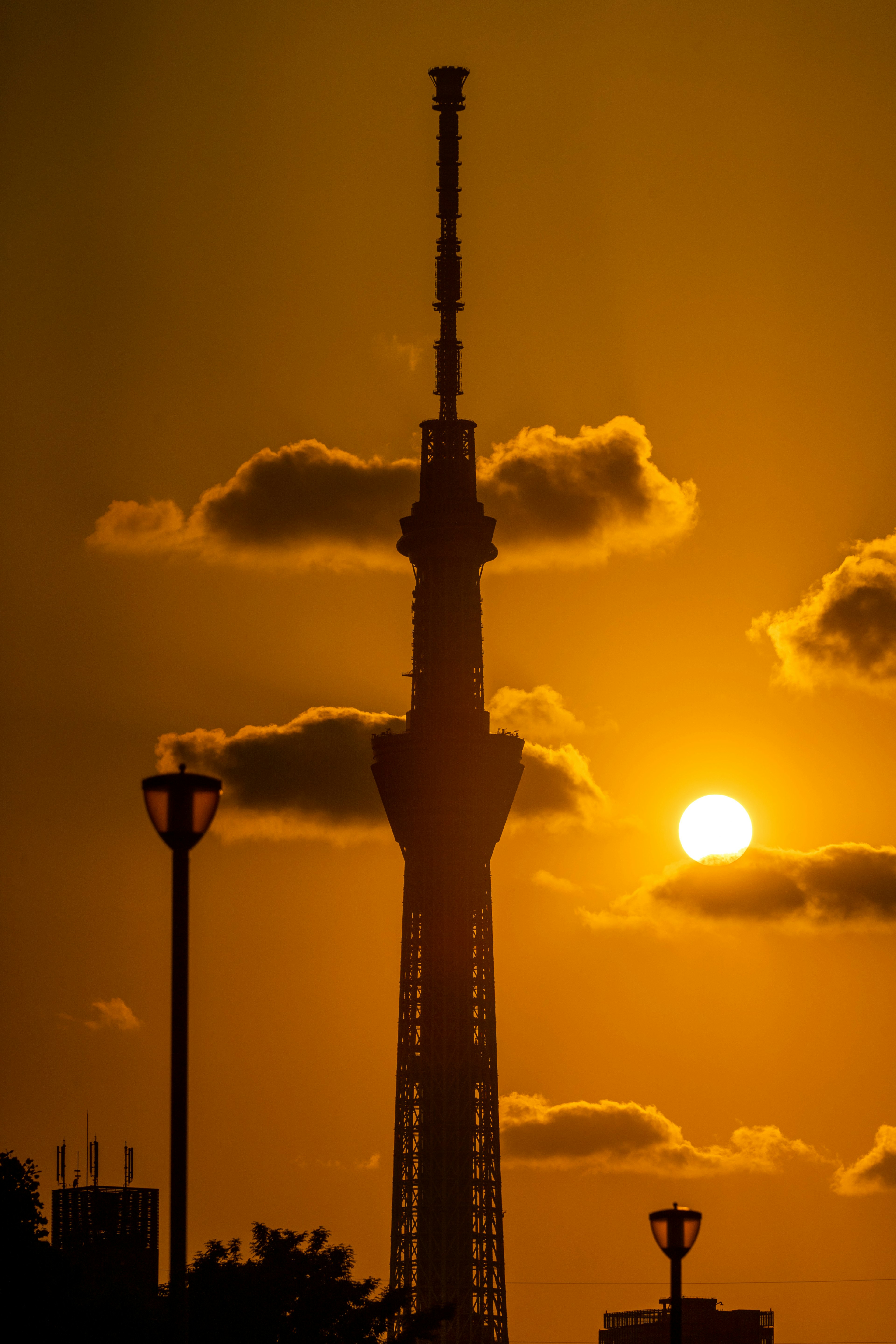 Silhouette của Tokyo Skytree trước hoàng hôn đẹp