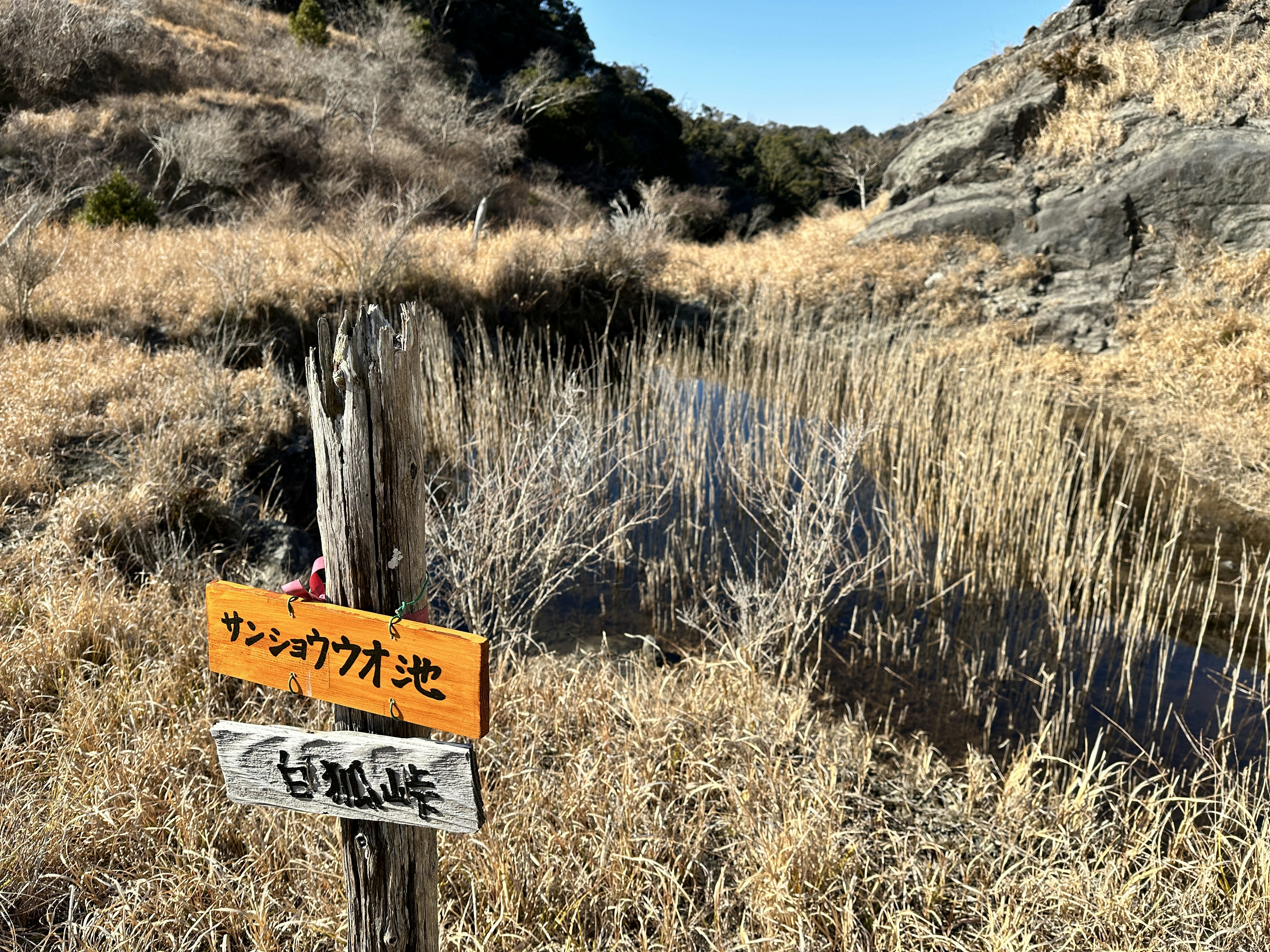 Landscape of dry grassland with a small pond featuring a sign