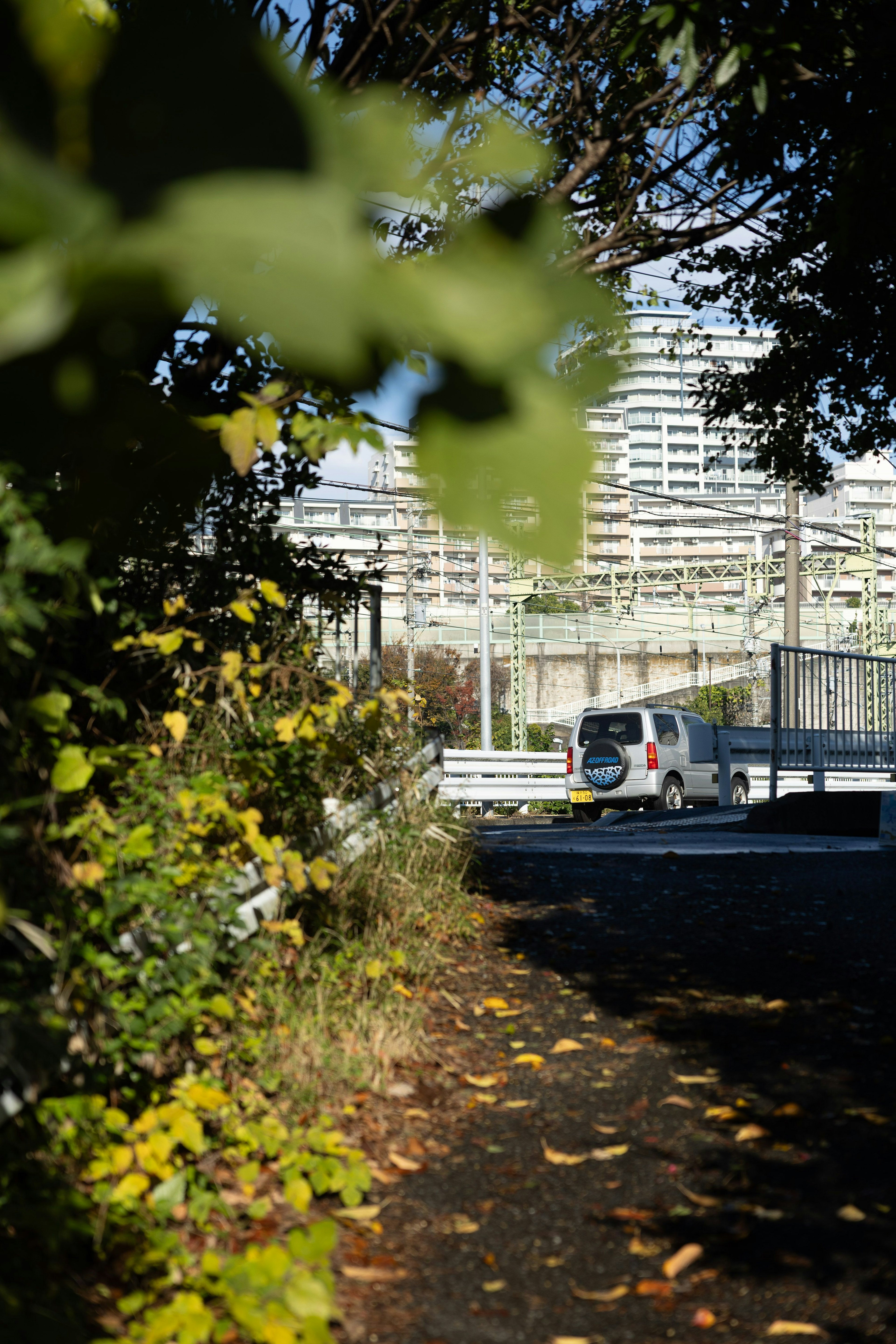 Pathway lined with green leaves and a distant building