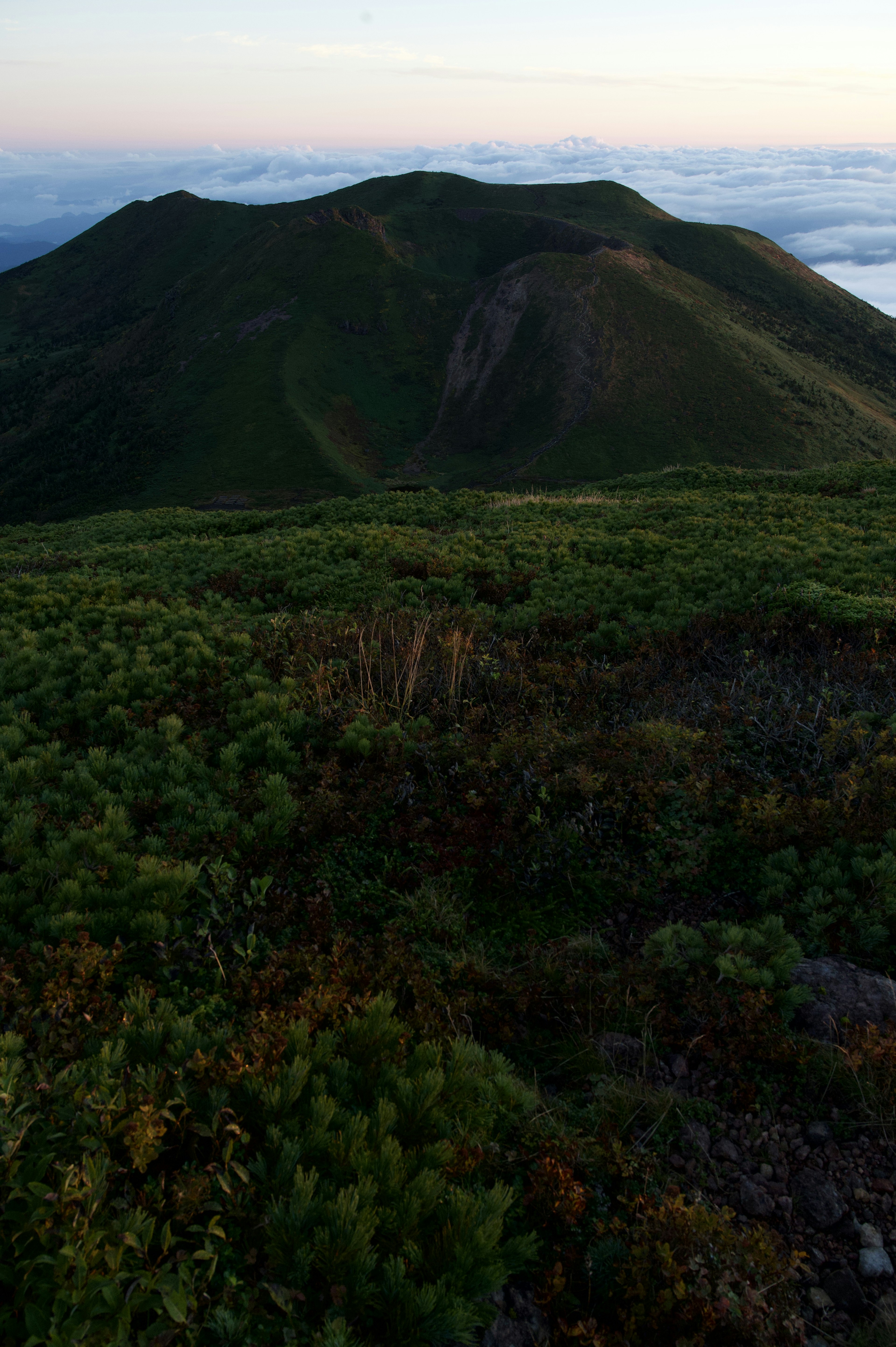 Vue panoramique d'une montagne et d'une végétation luxuriante