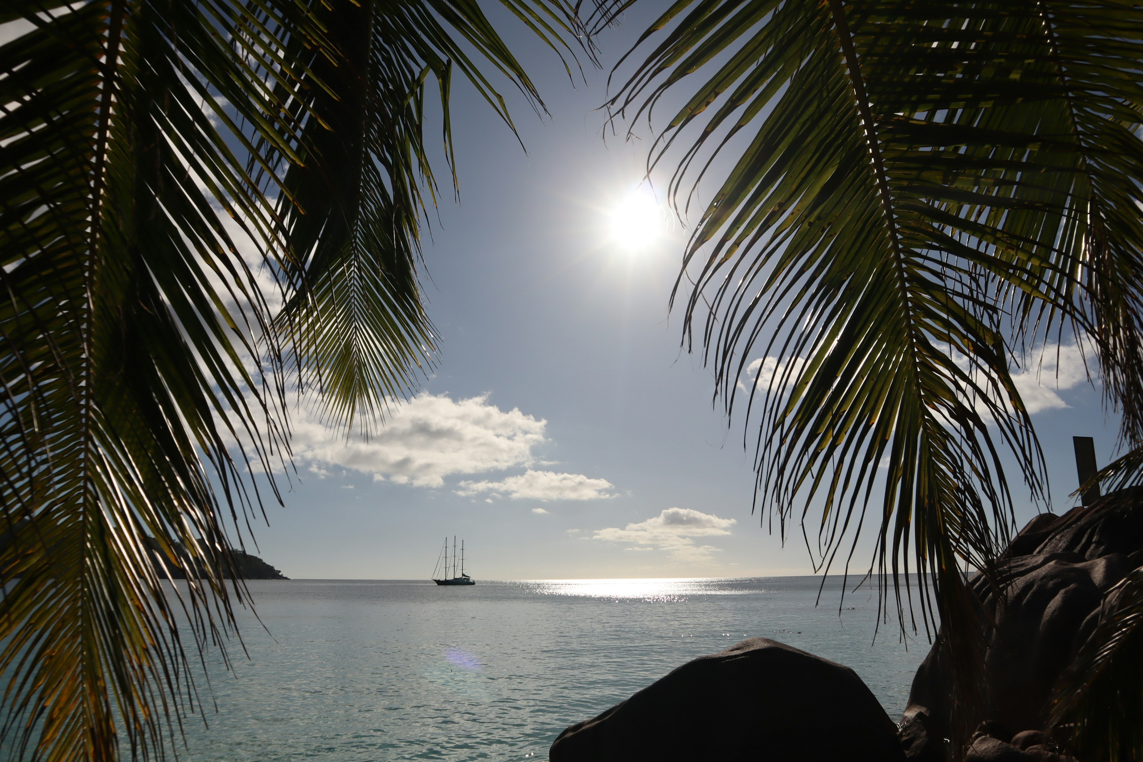 Belle vue de la mer et du soleil encadrée par des feuilles de palmier