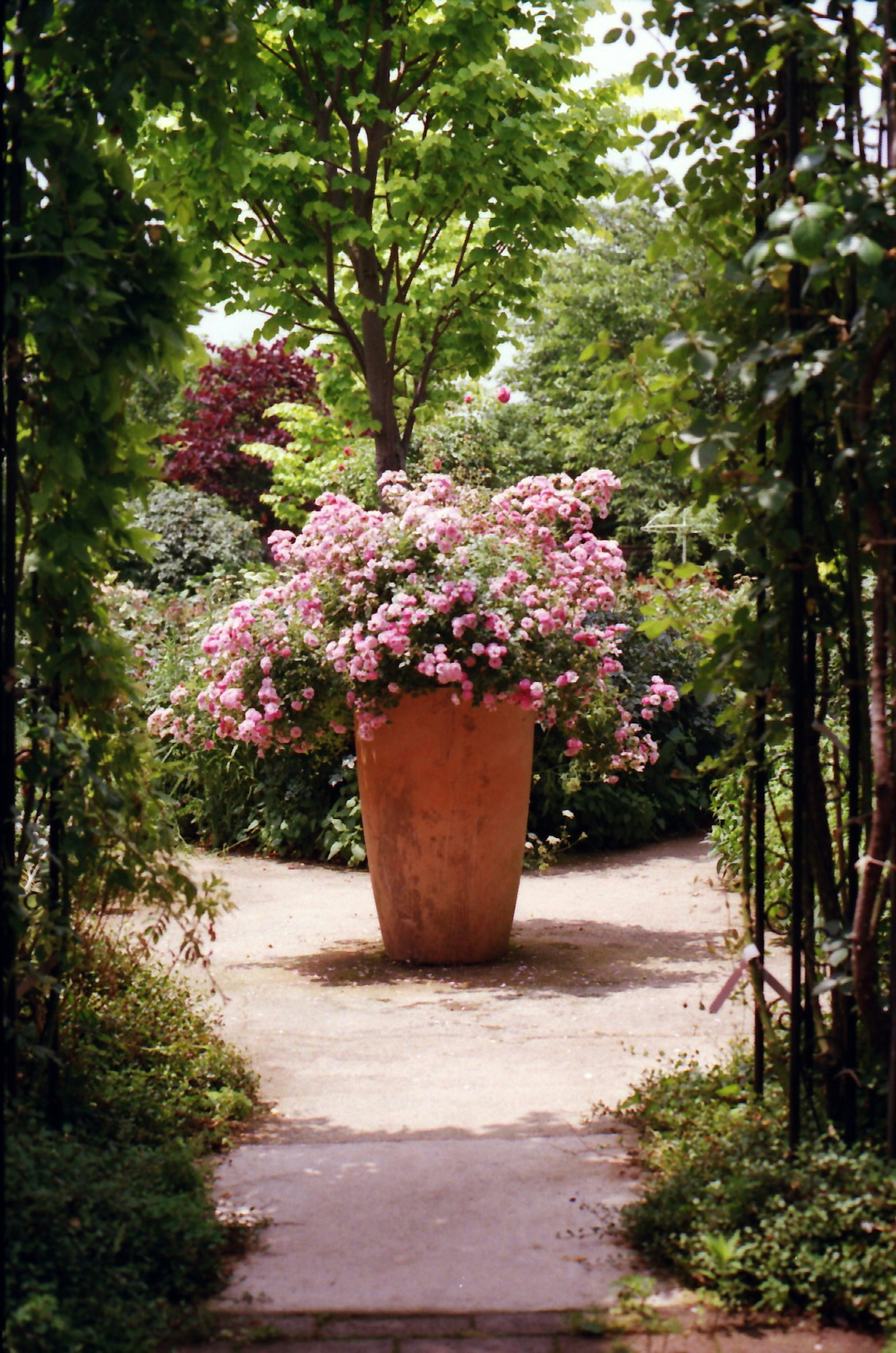 Beau jardin avec un grand pot de fleurs roses entouré d'arbres verts