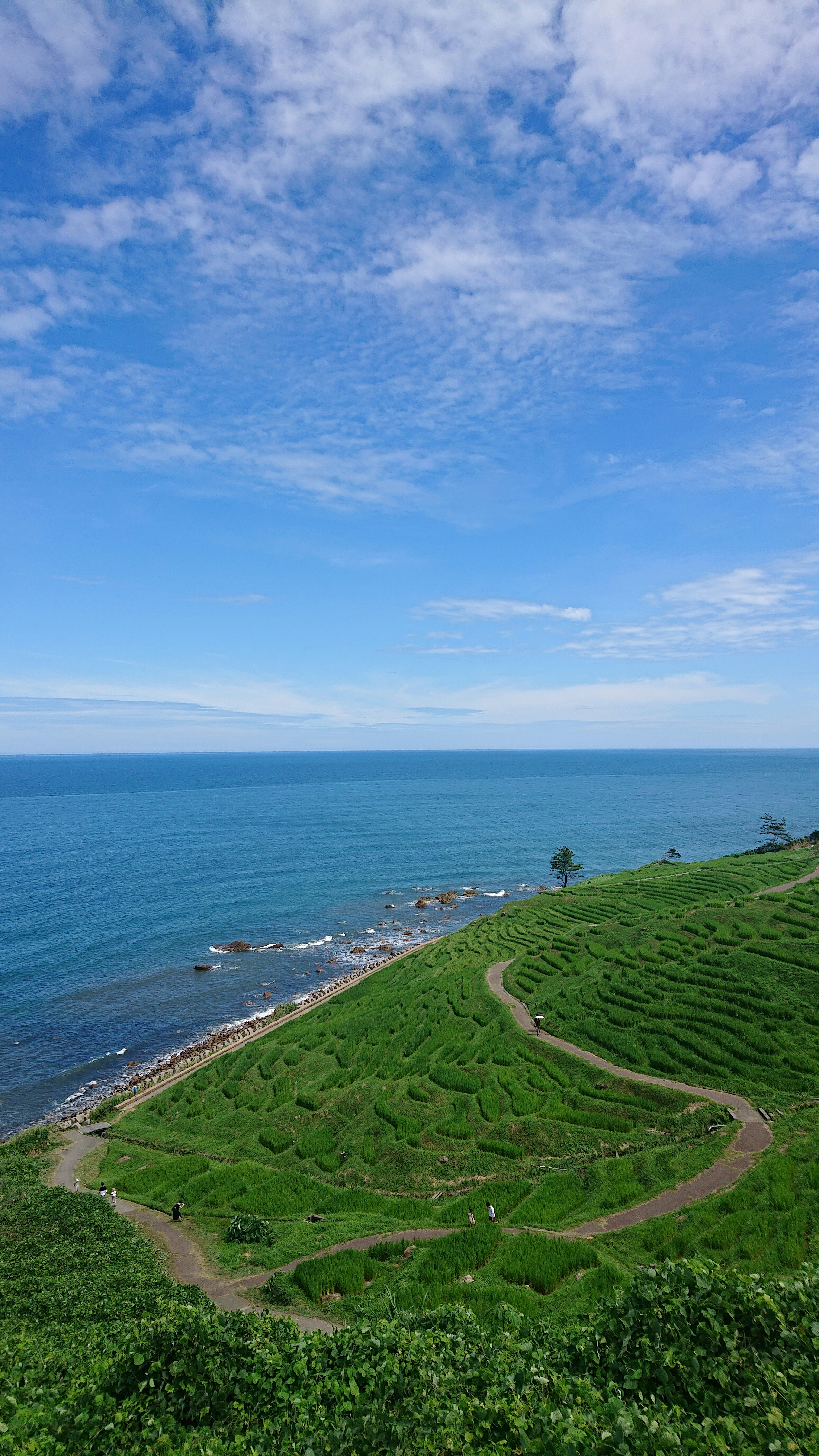 Pemandangan laut biru dan bukit hijau