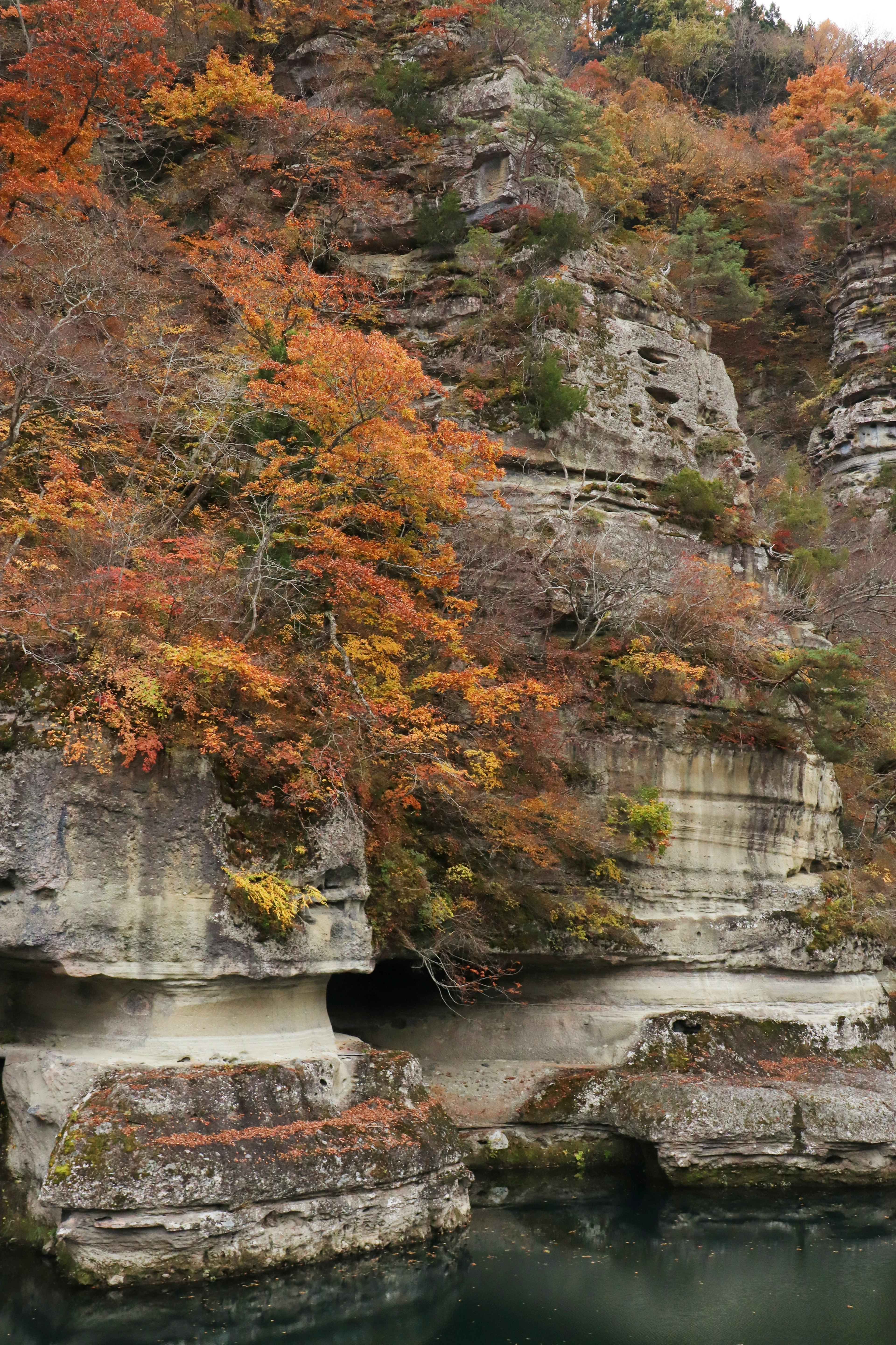 Malersicher Blick auf Herbstlaub an felsigen Klippen am Wasser