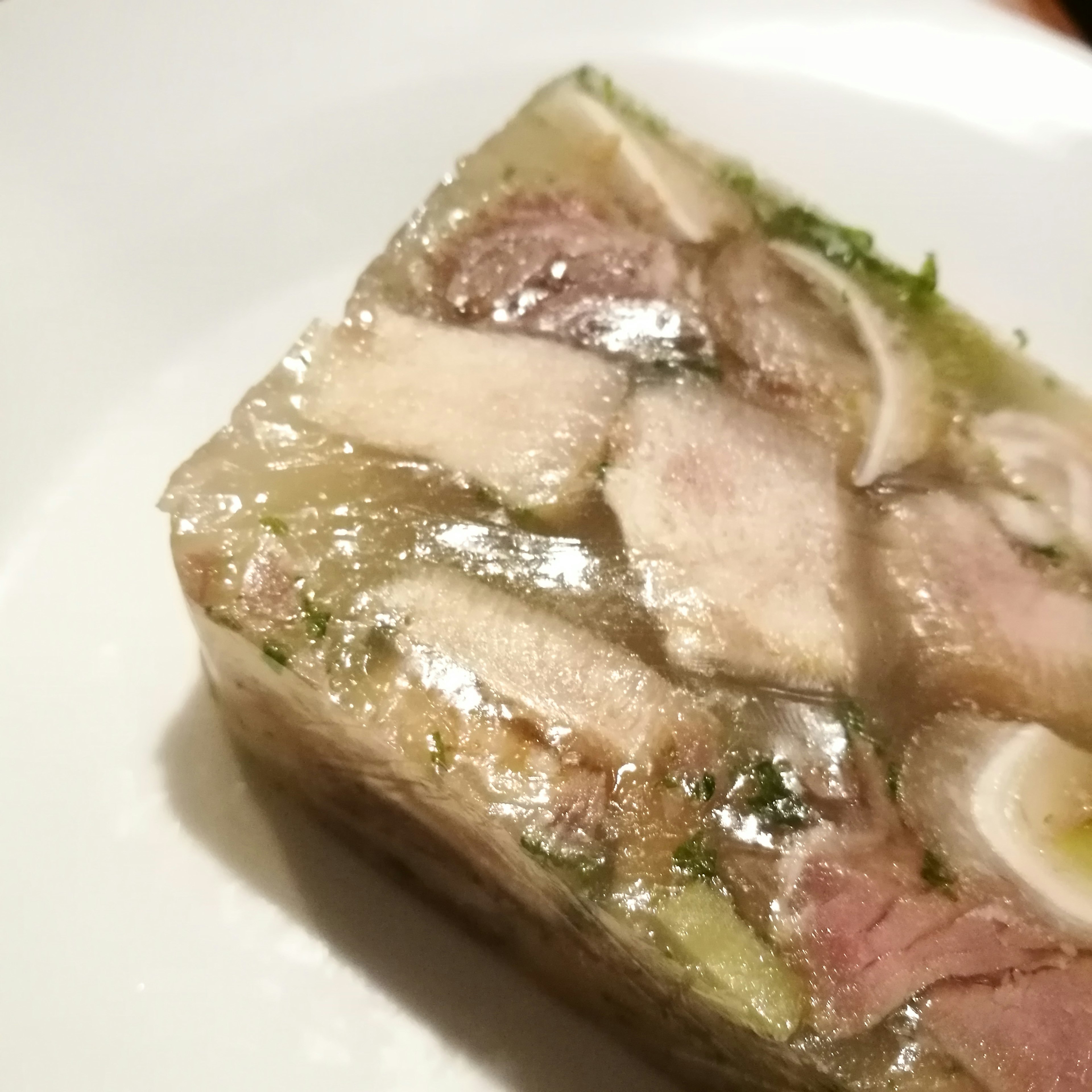 A dish with layers of meat and herbs encased in a transparent jelly