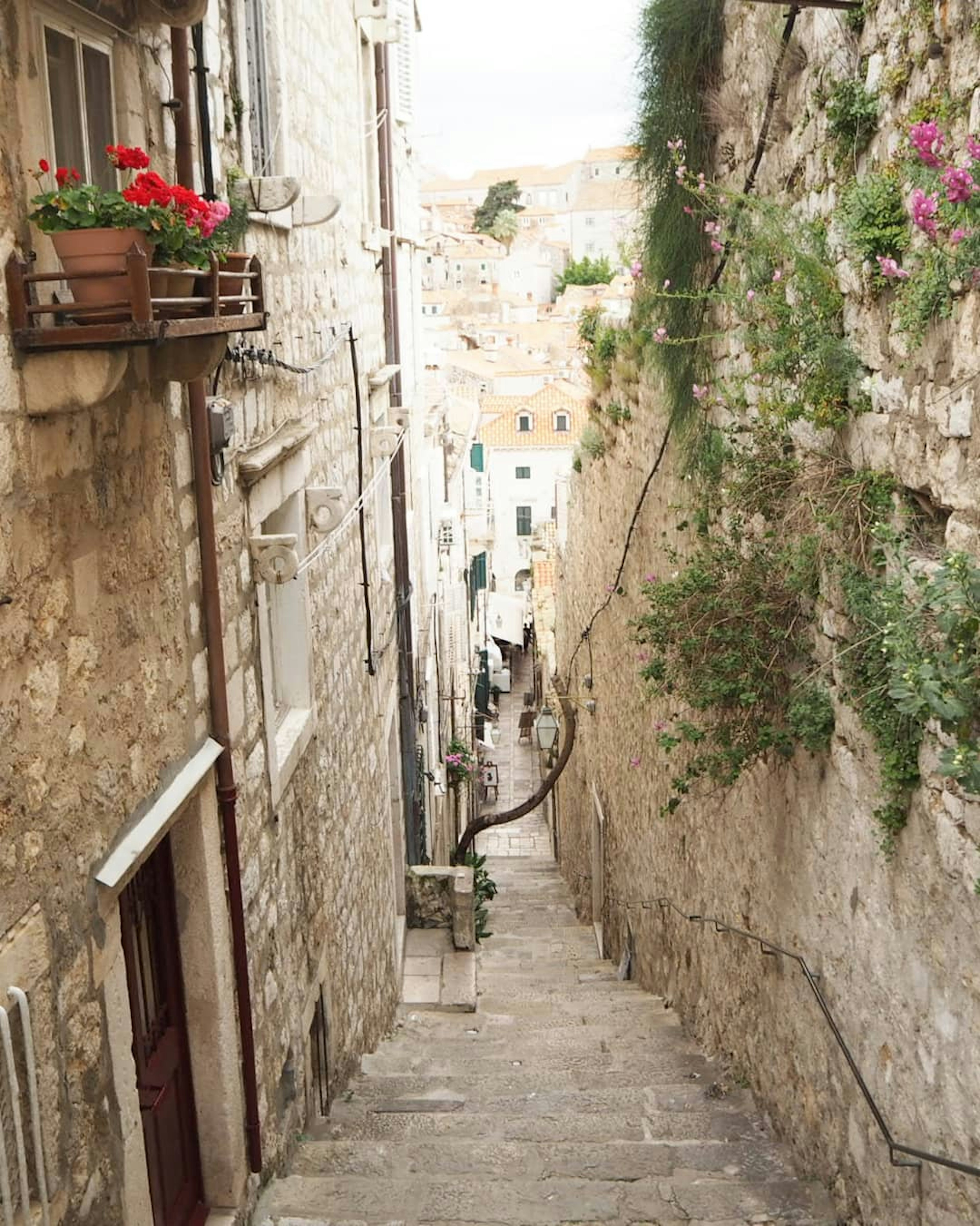 Schmale Steintreppe mit einem blumengeschmückten Balkon und Grün entlang der Wände