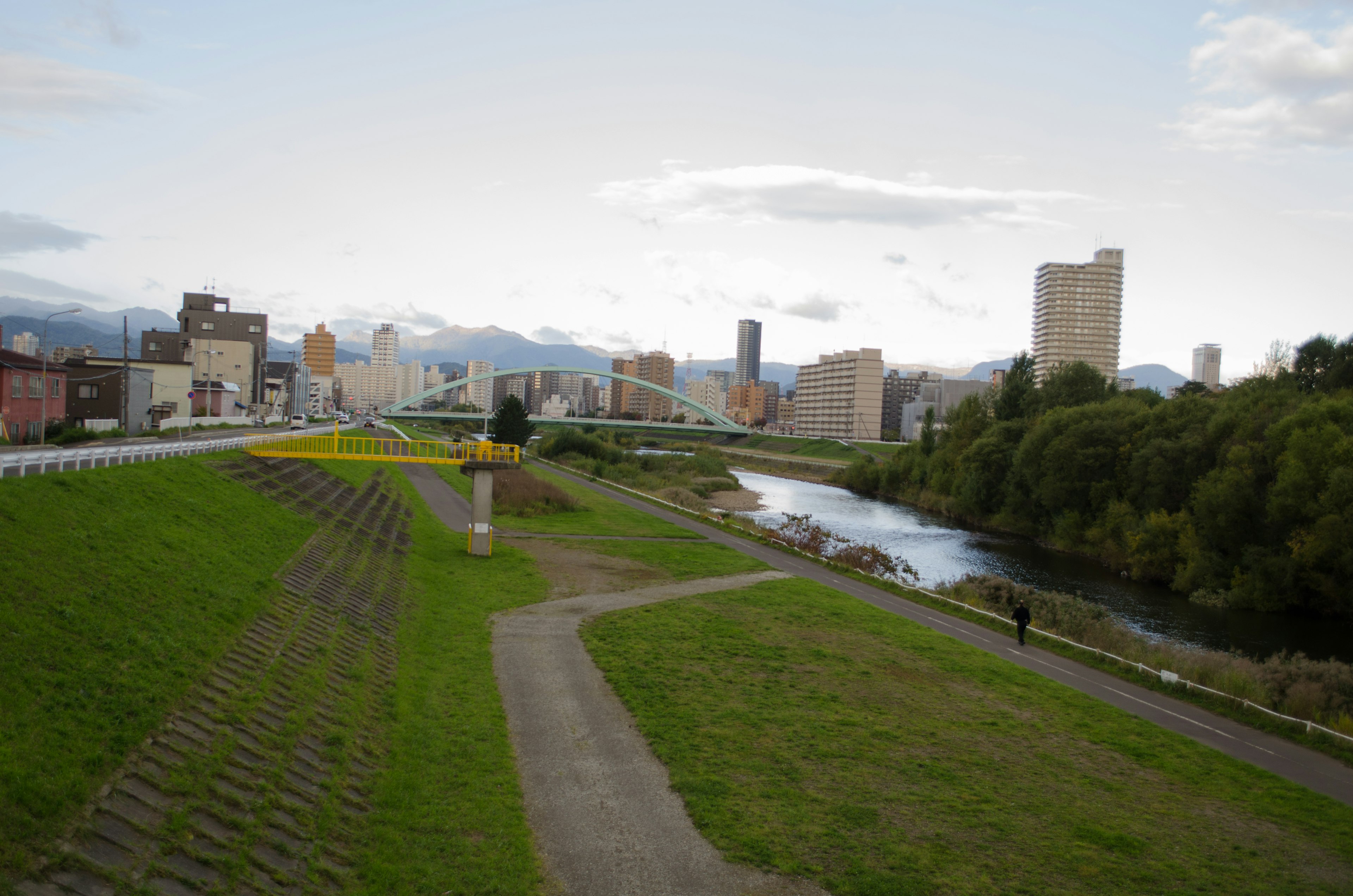 Vue pittoresque d'une rive de rivière avec verdure et skyline de la ville