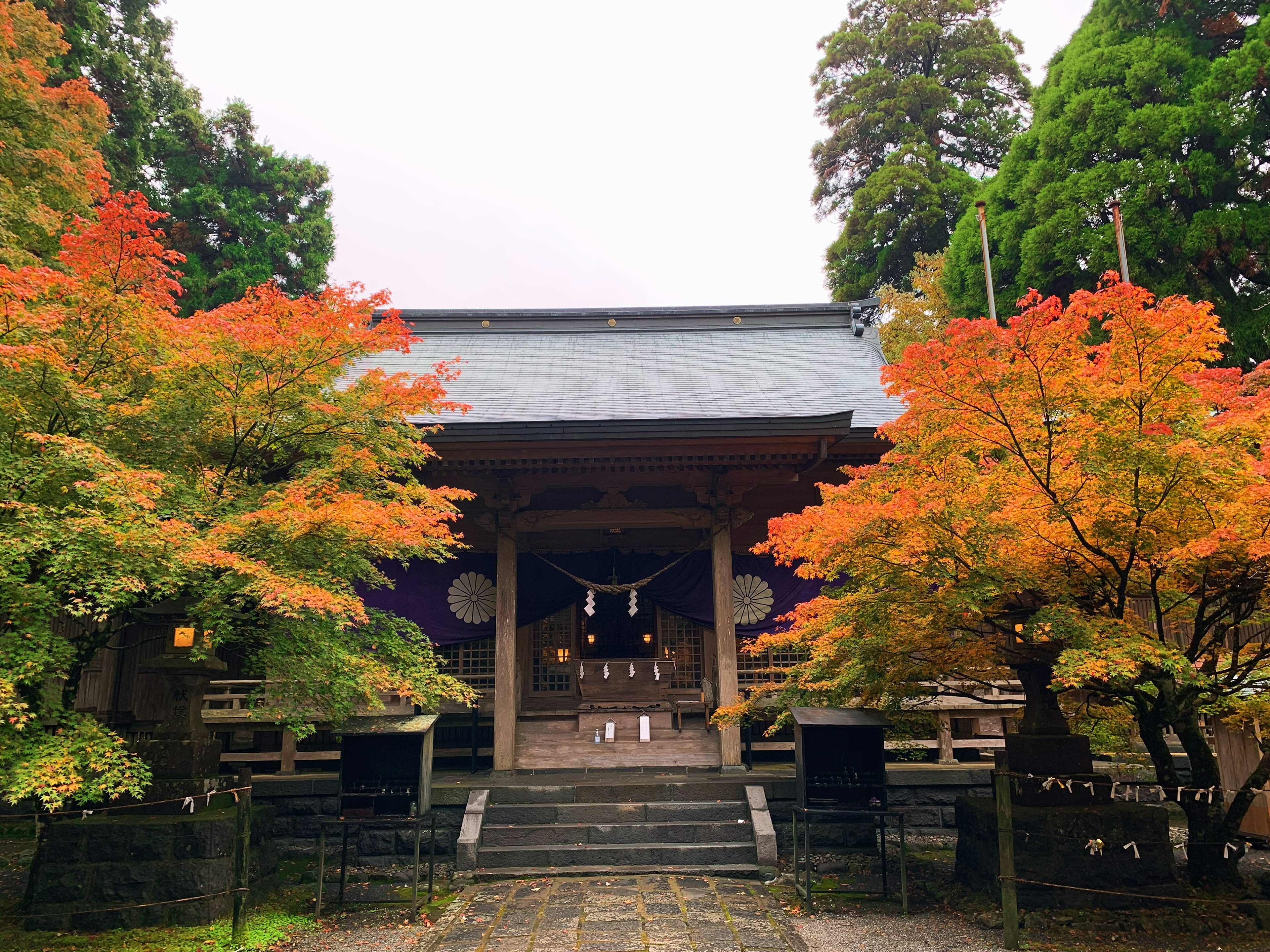 美しい秋の紅葉に囲まれた神社の建物