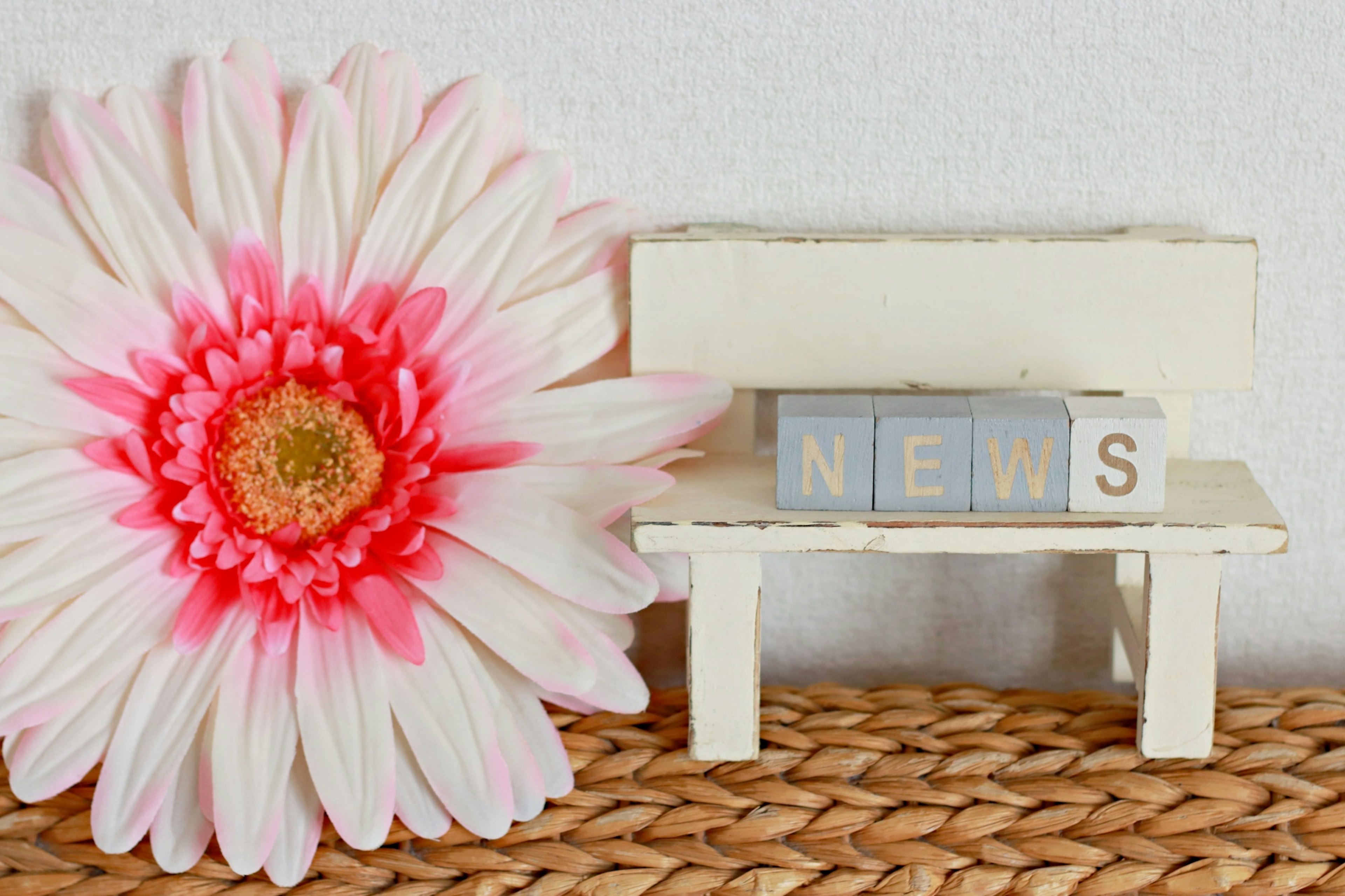 Kleine weiße Bank mit Blöcken, die NEWS buchstabieren, und einer großen rosa Blume